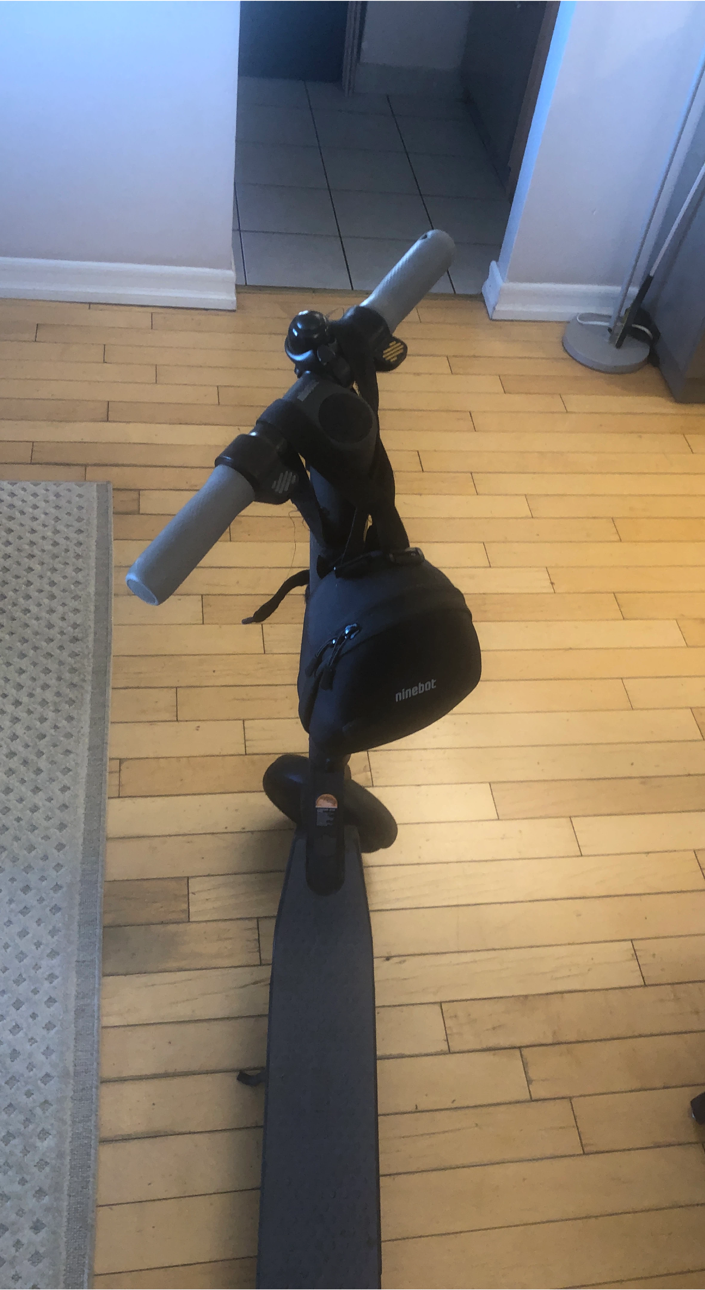 Ninebot Electric Scooter