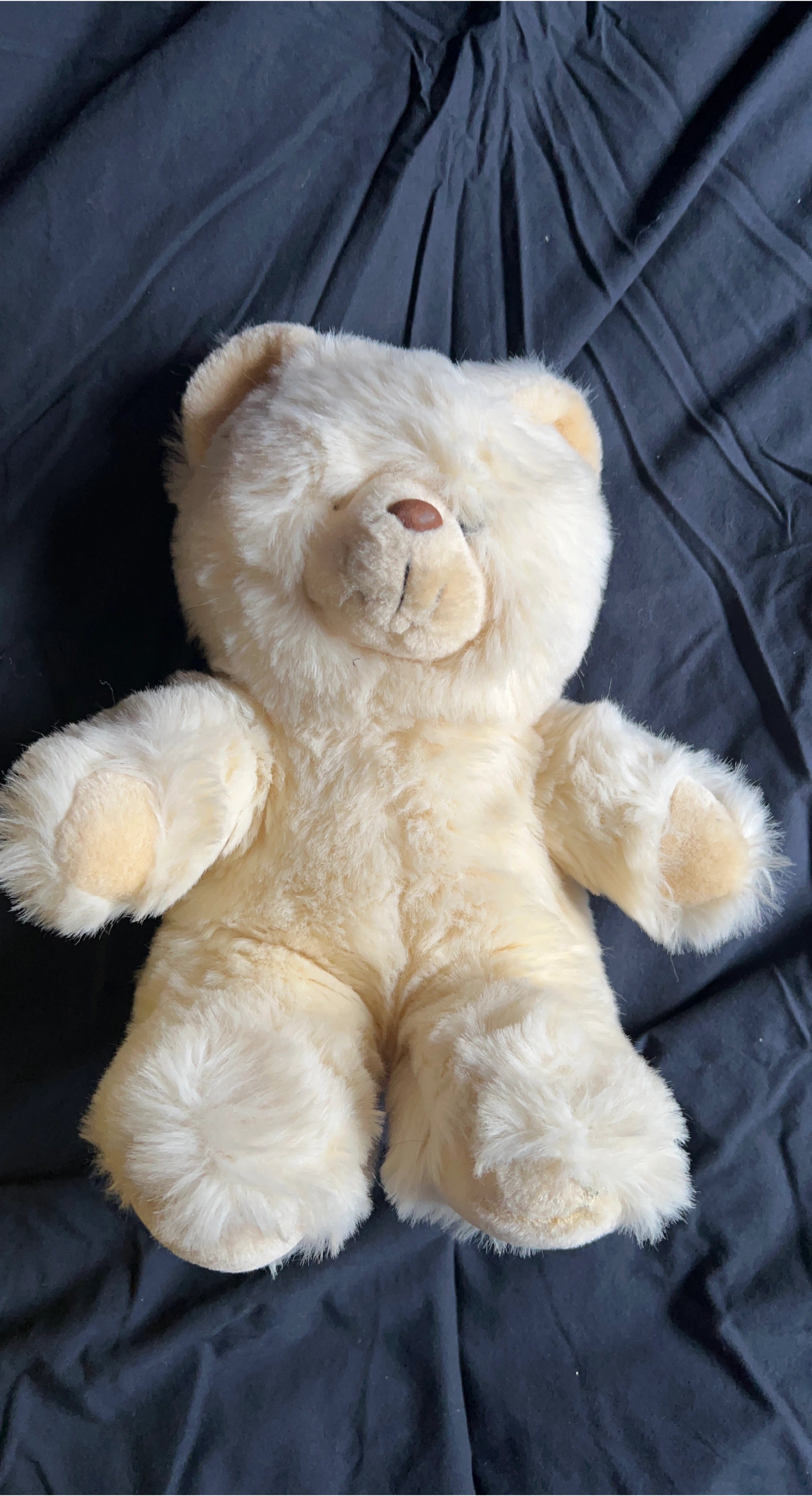 Cream-coloured Teddy Bear