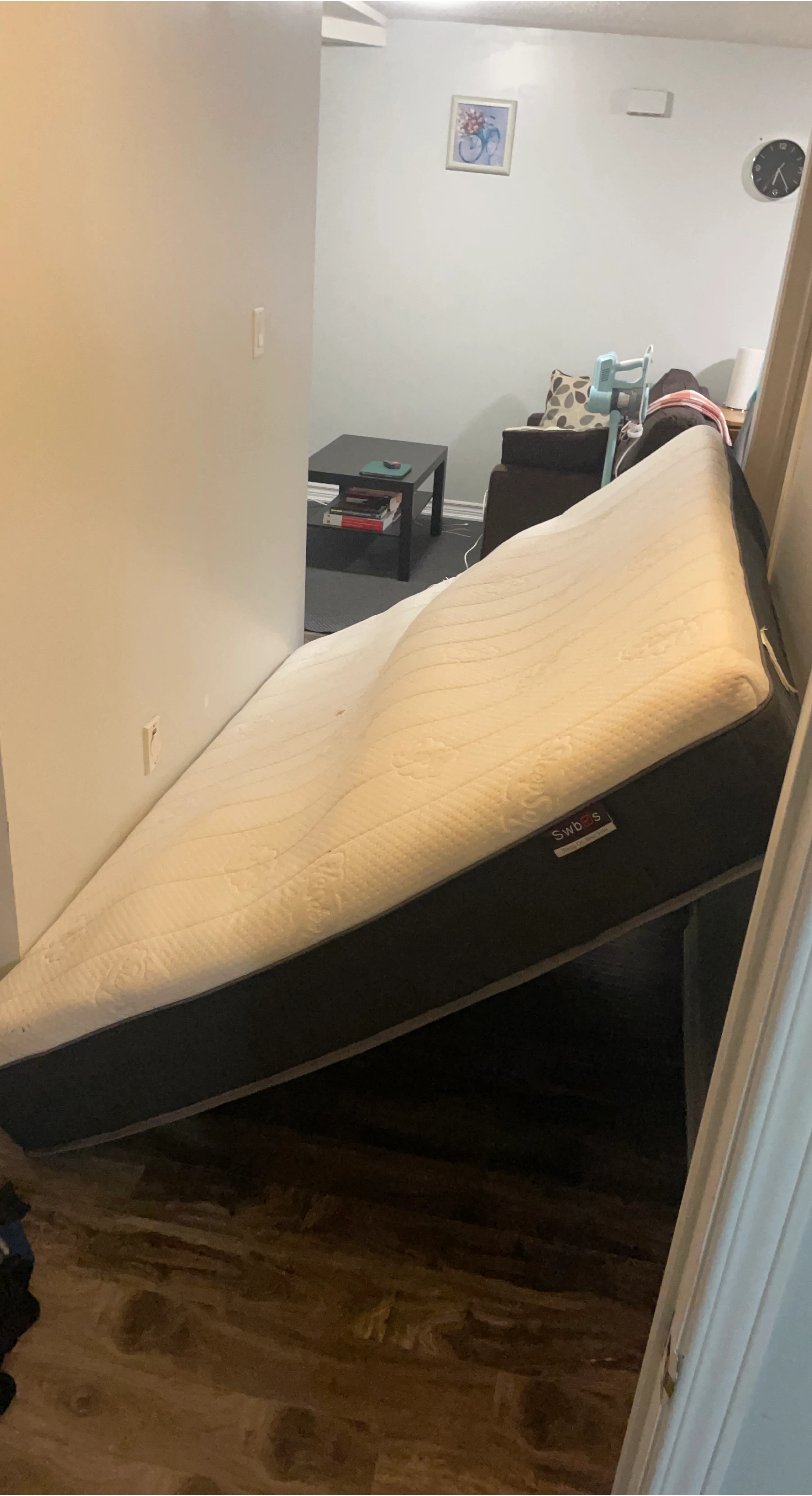 Swoosh Mattress
