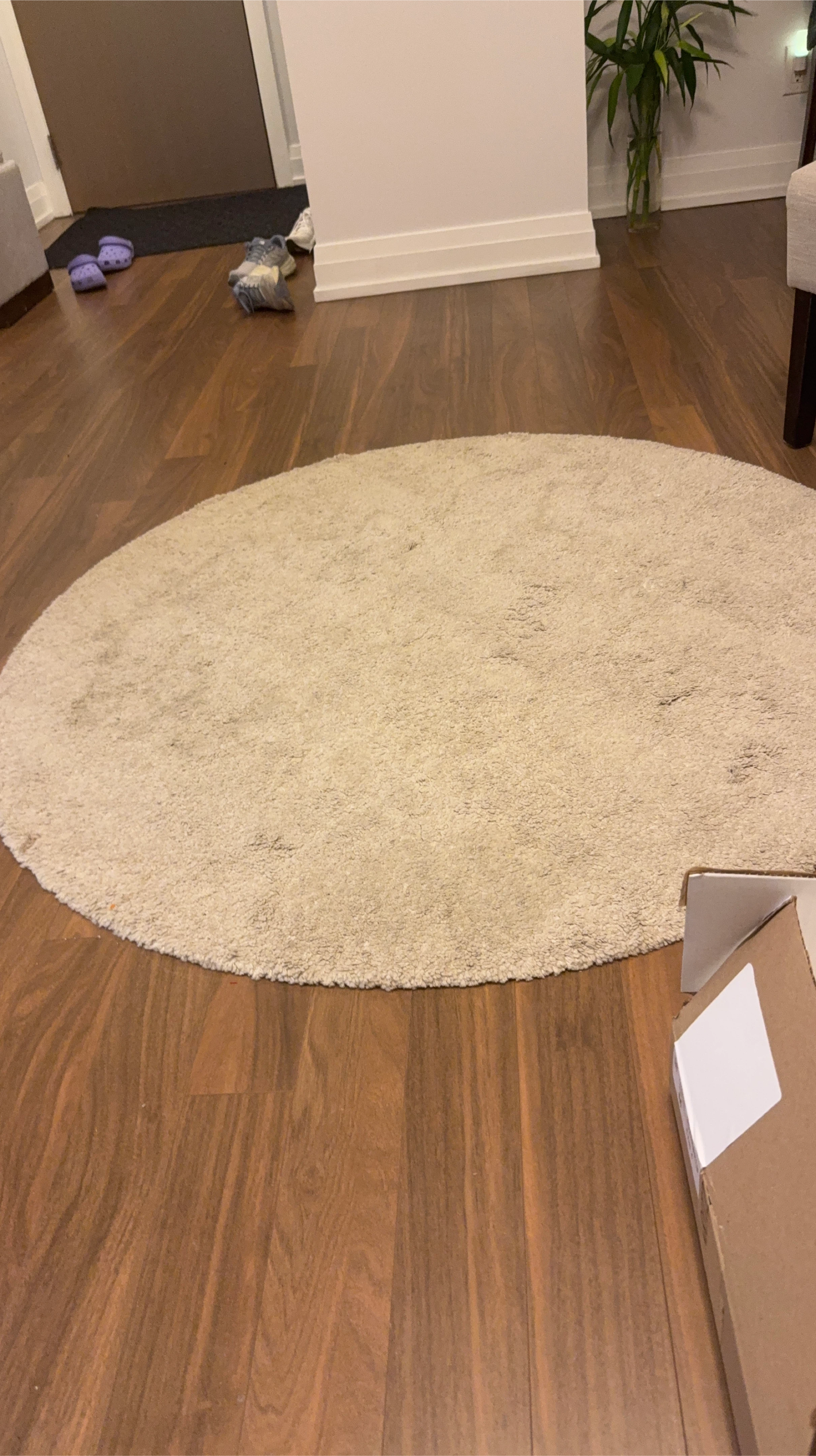 Round Shag Rug