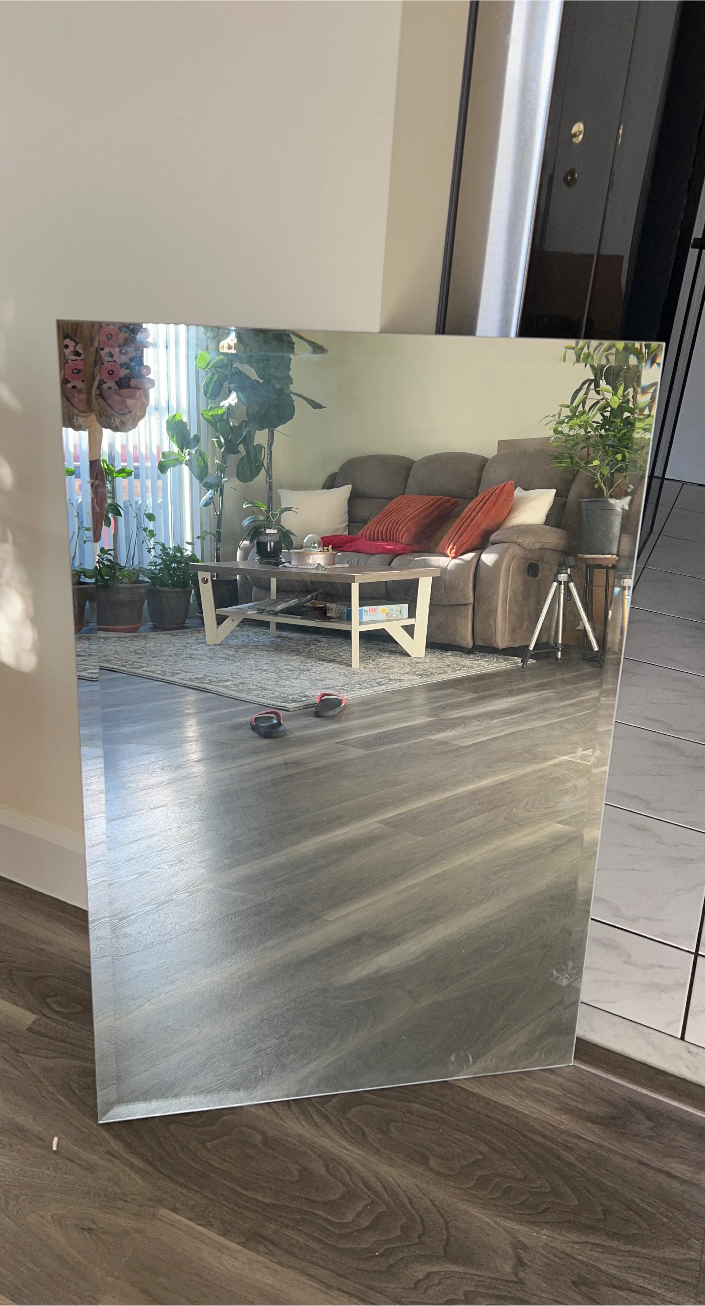 Large Rectangular Mirror