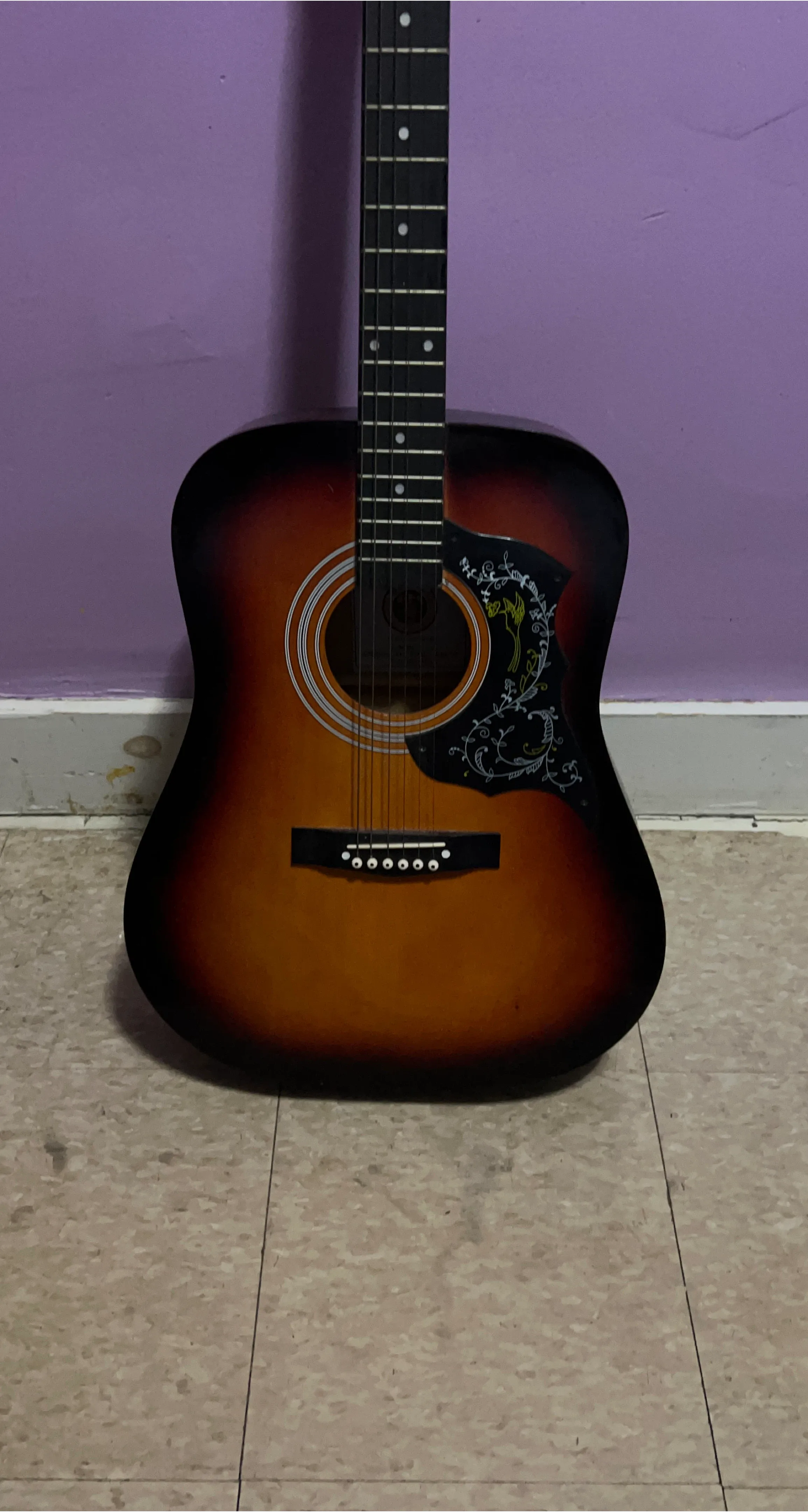 Acoustic Guitar