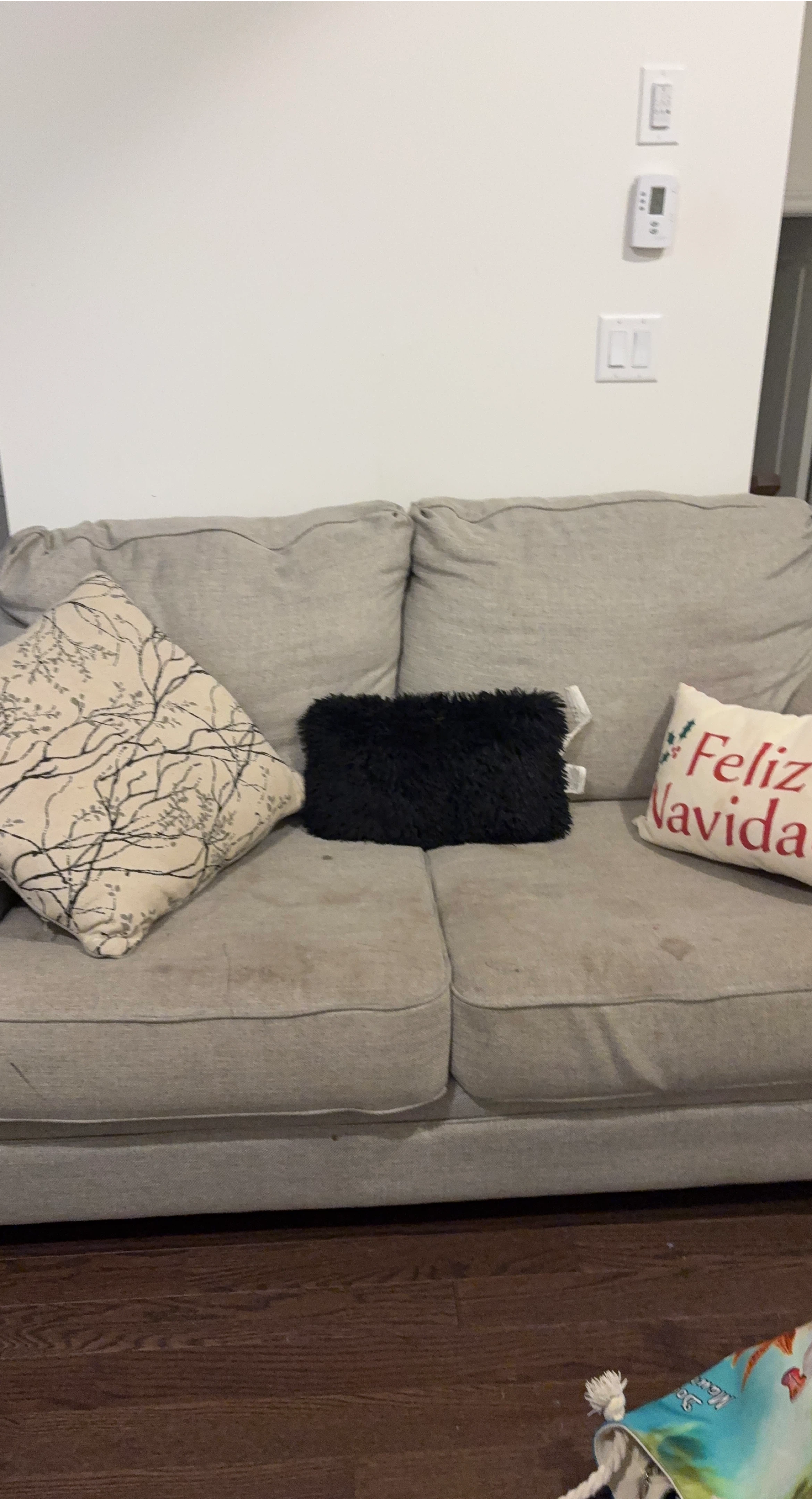Used Sofa with Pillows