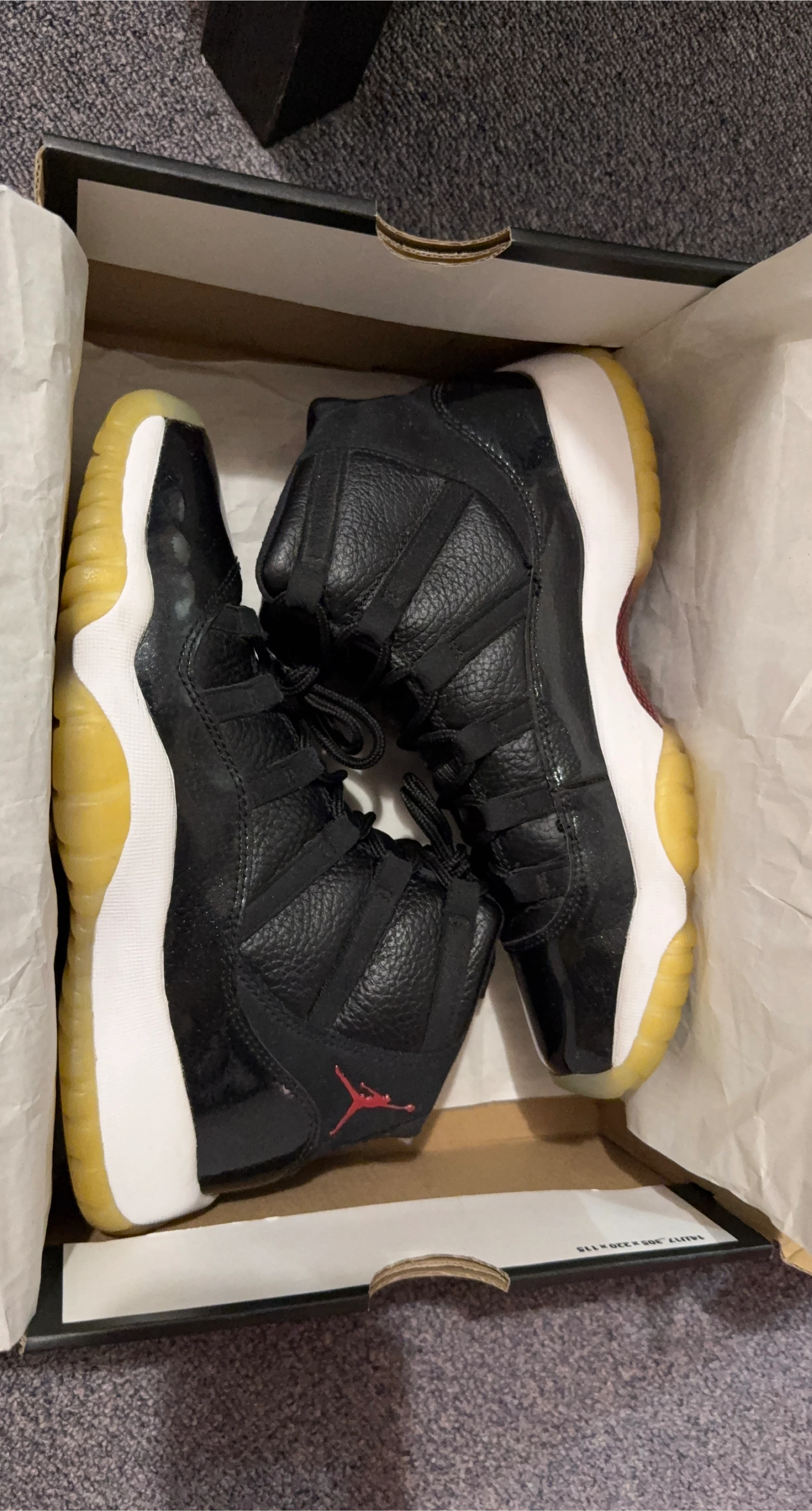 Air Jordan 11 Retro Playoffs 2019