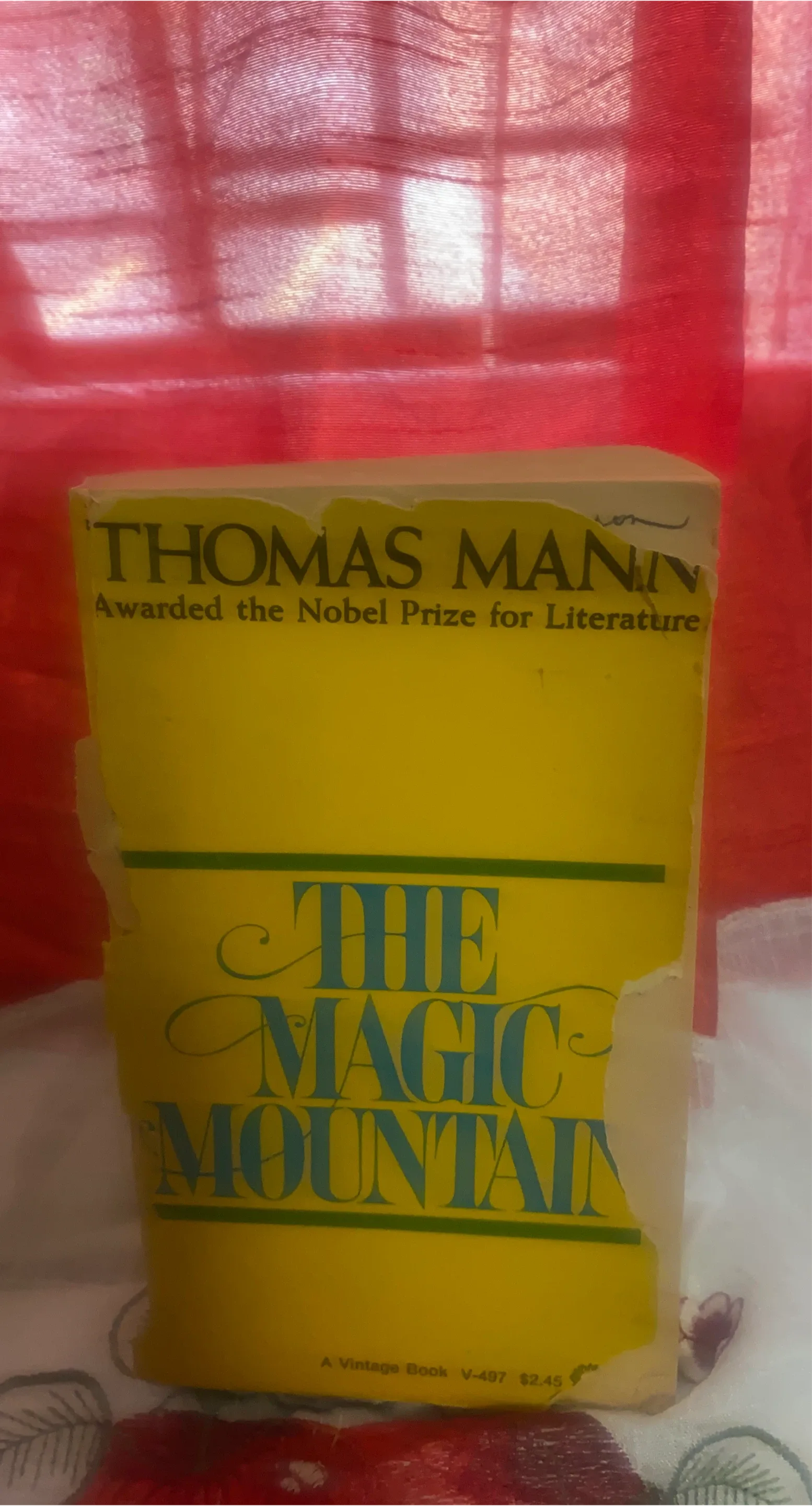 The Magic Mountain by Thomas Mann