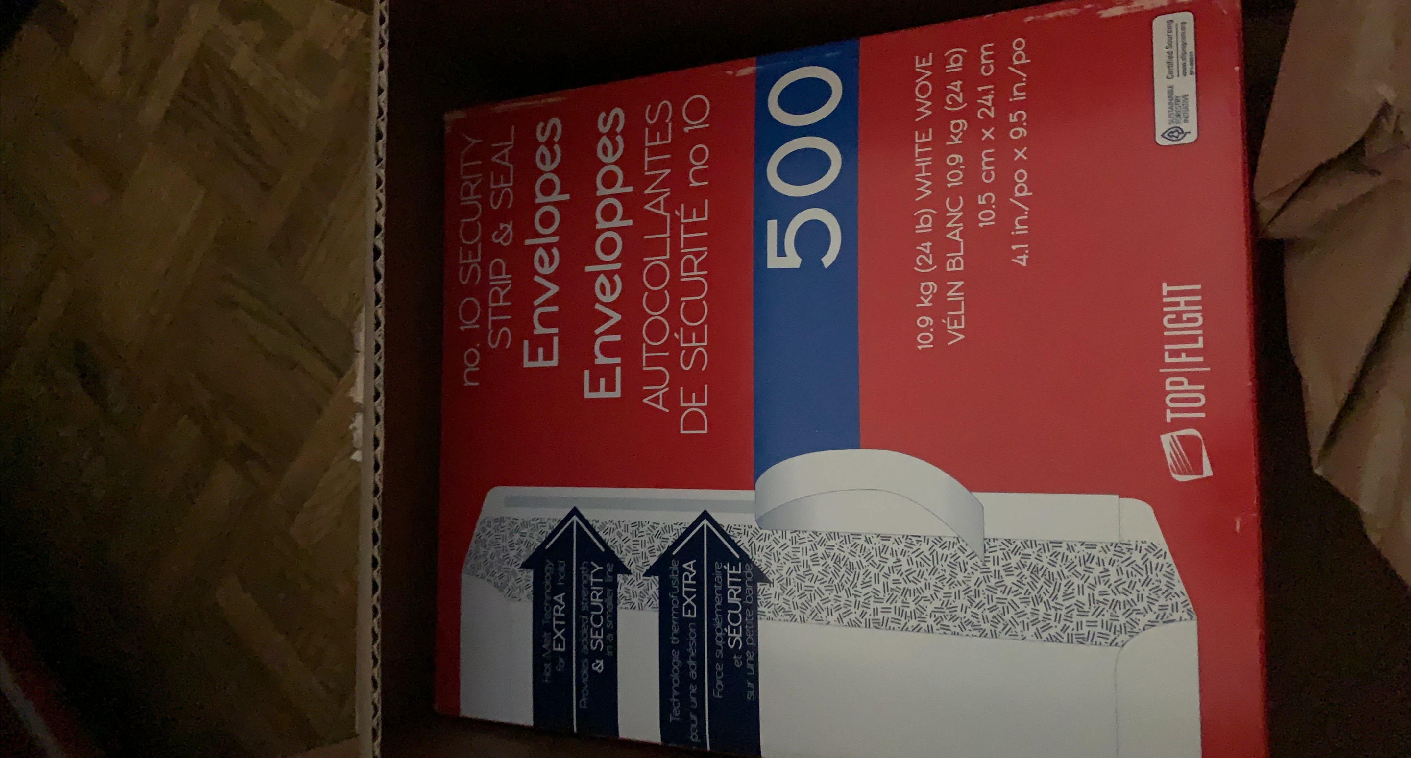 Top Flight No. 10 Security Envelopes - 500 Count