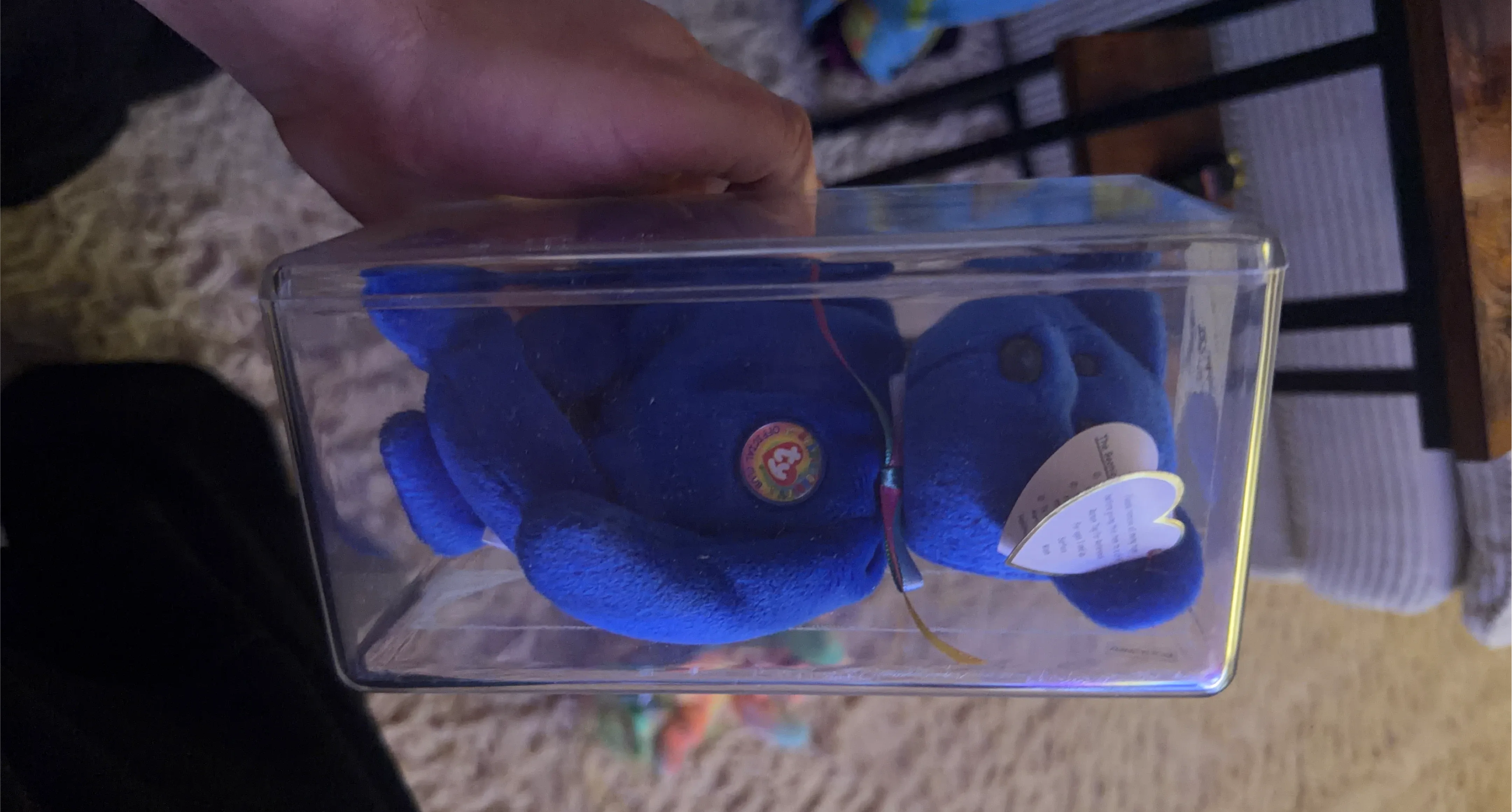 Ty Beanie Baby - New in Box