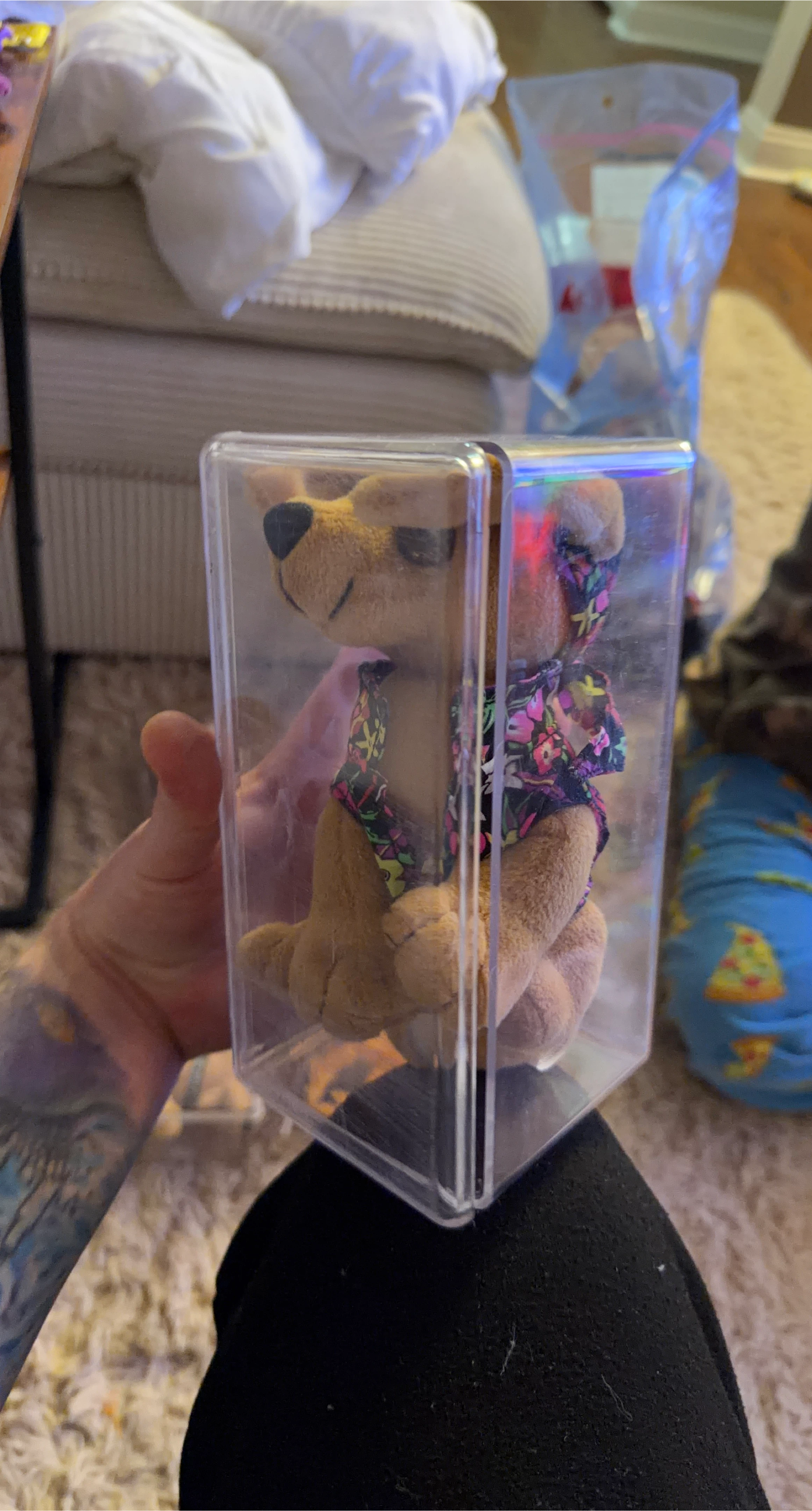 Beanie Baby Bear in Case