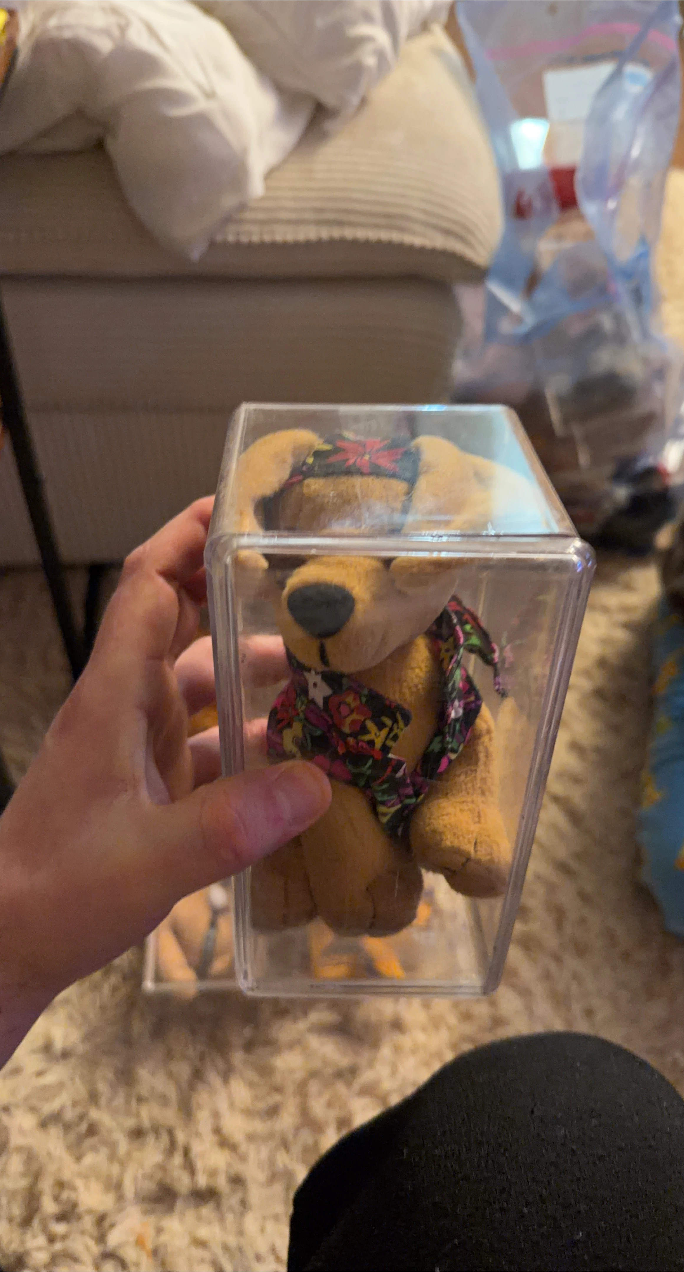 Beanie Baby Scooby Doo in Case