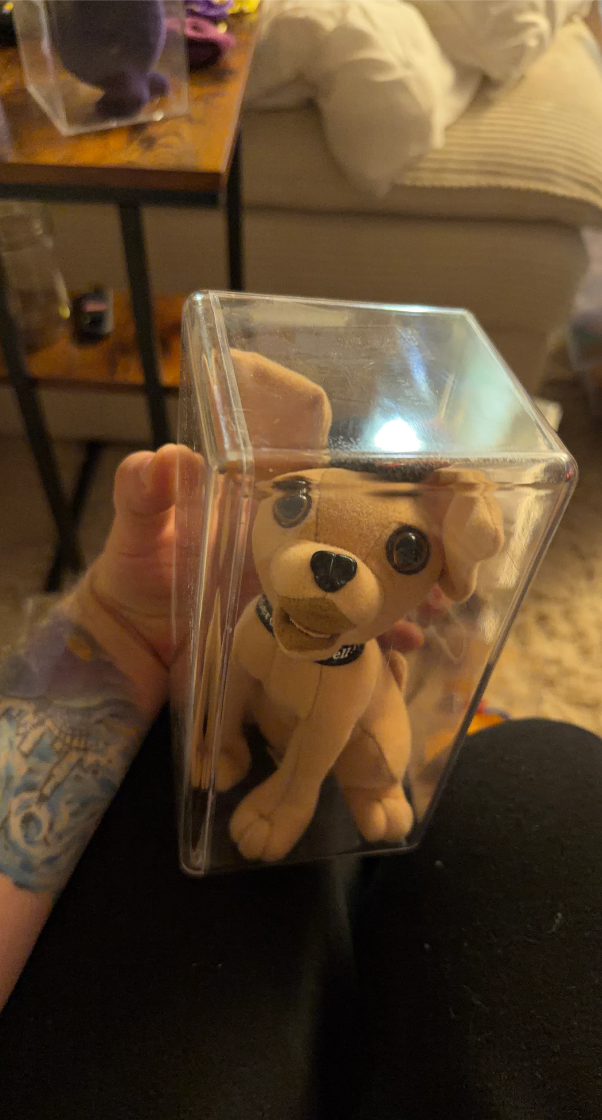 New Taco Bell Chihuahua Plush in Box image indicator(1)
