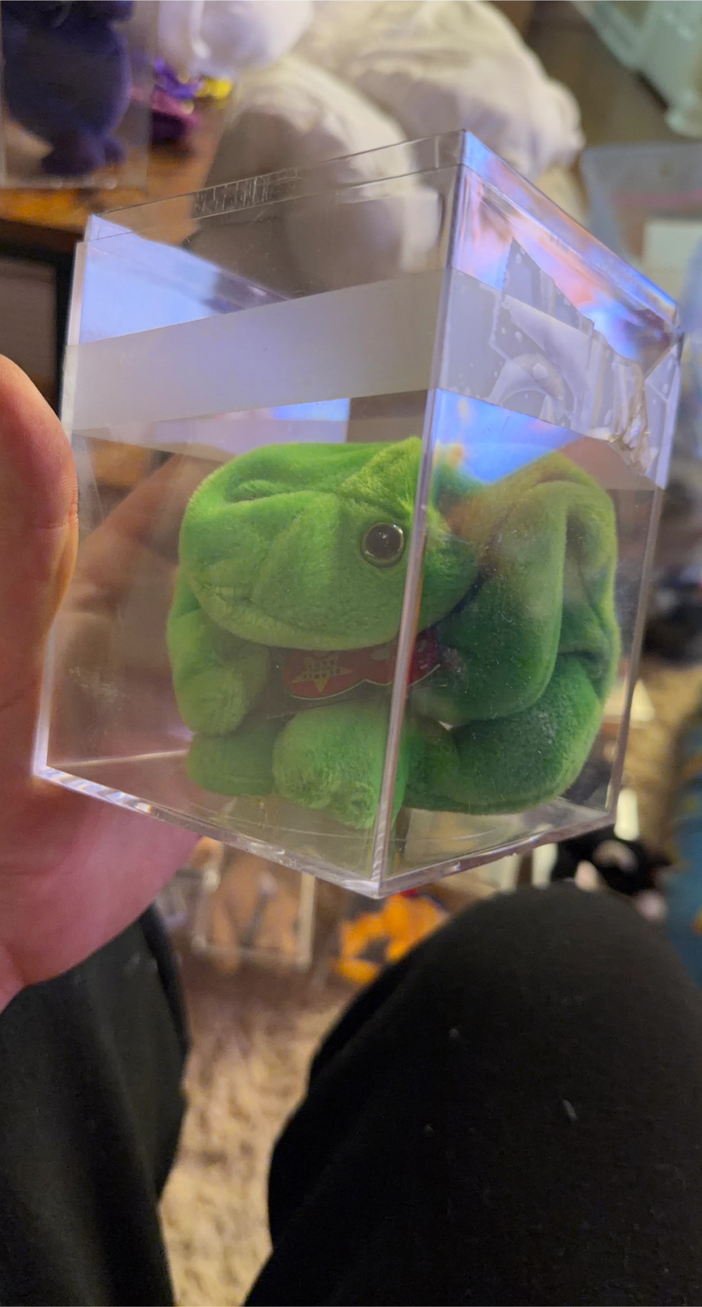 Beanie Baby - Smoochy the Frog