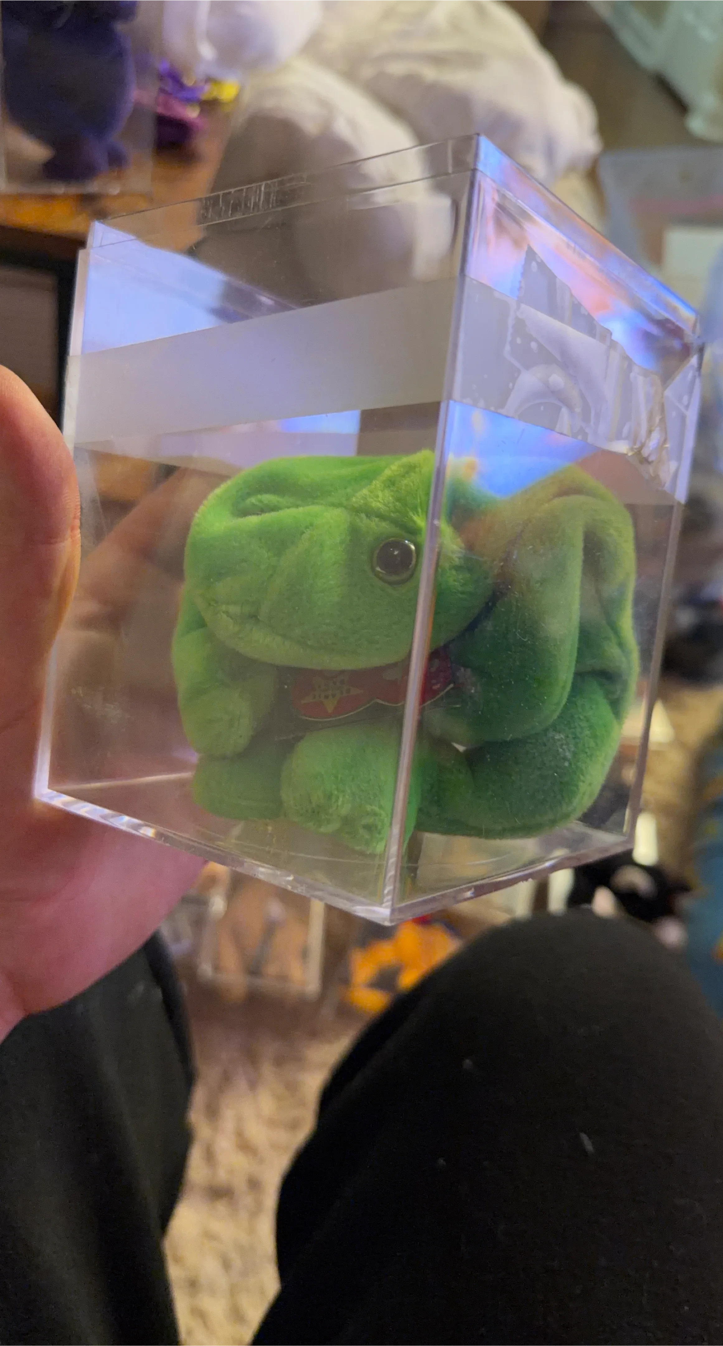 Beanie Baby - Smoochy the Frog