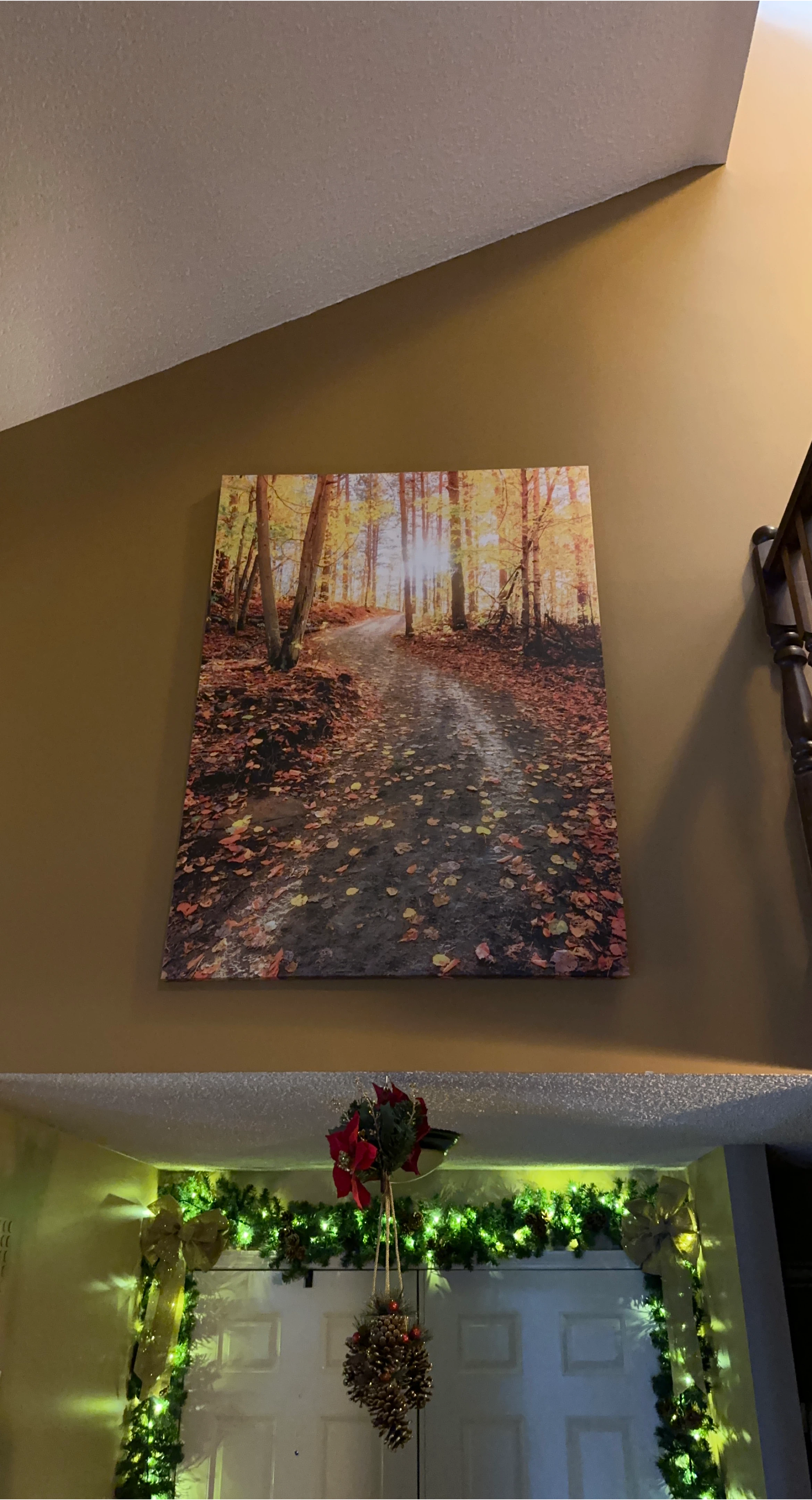 Autumn Path Thru Trees - JSYK