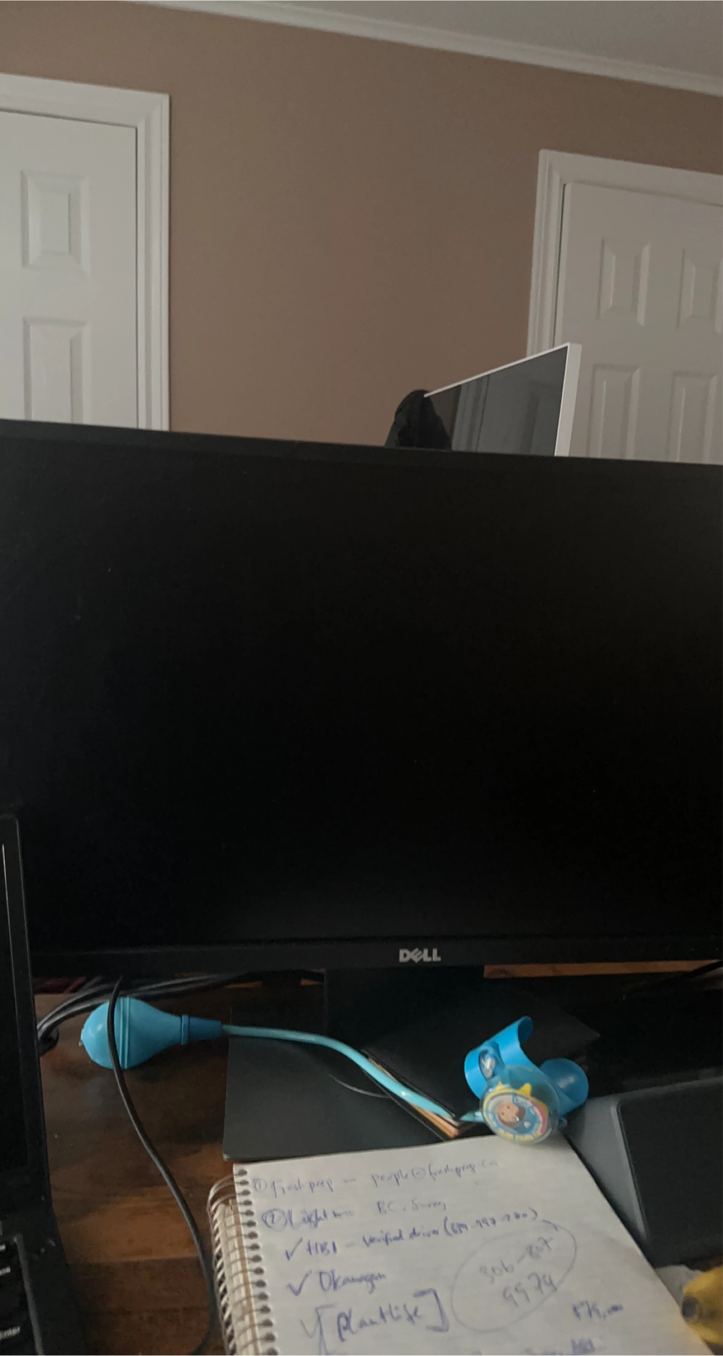 Dell Monitor