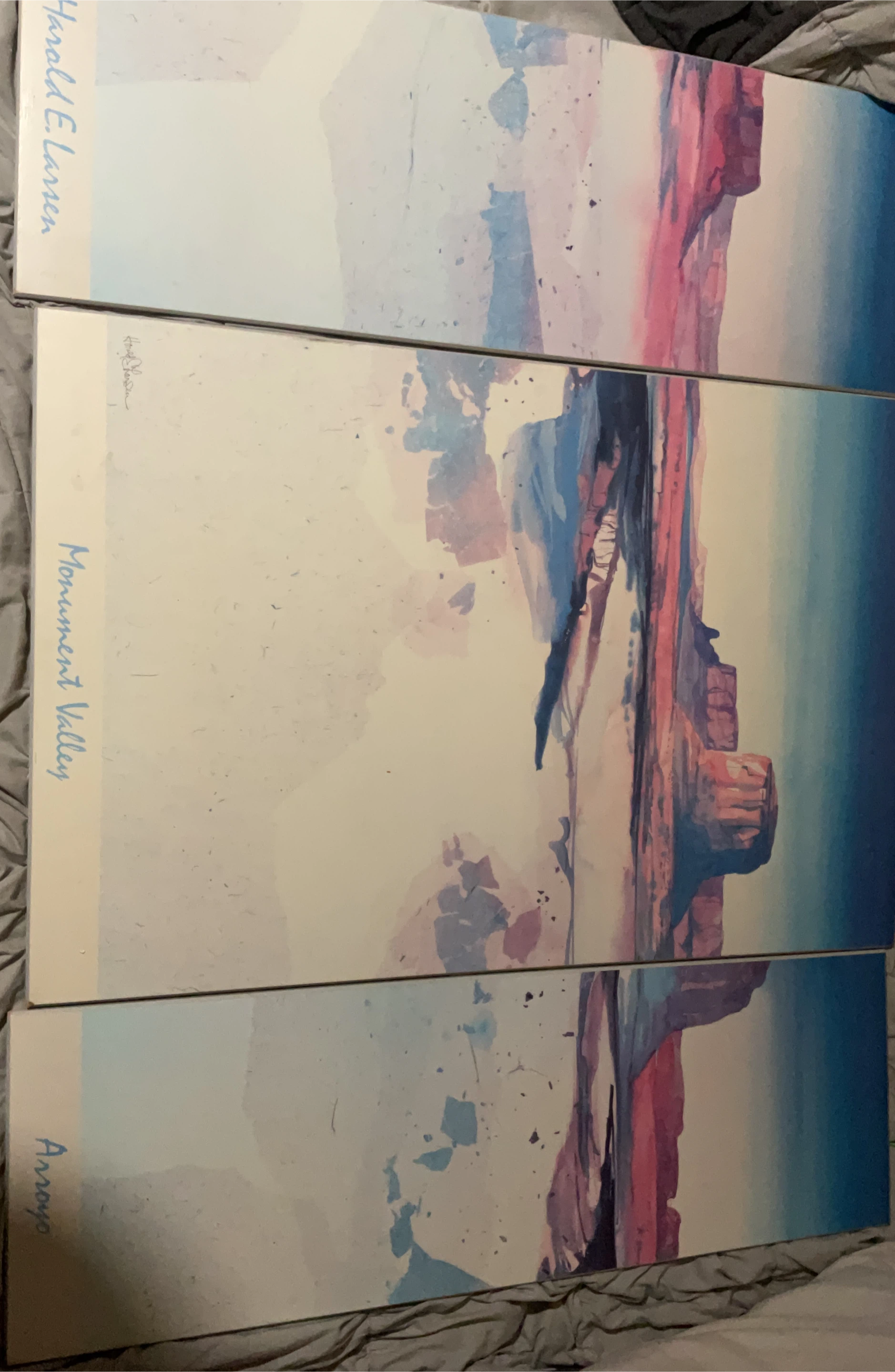 Harold E. Larsen Art - Monument Valley & Arroyo