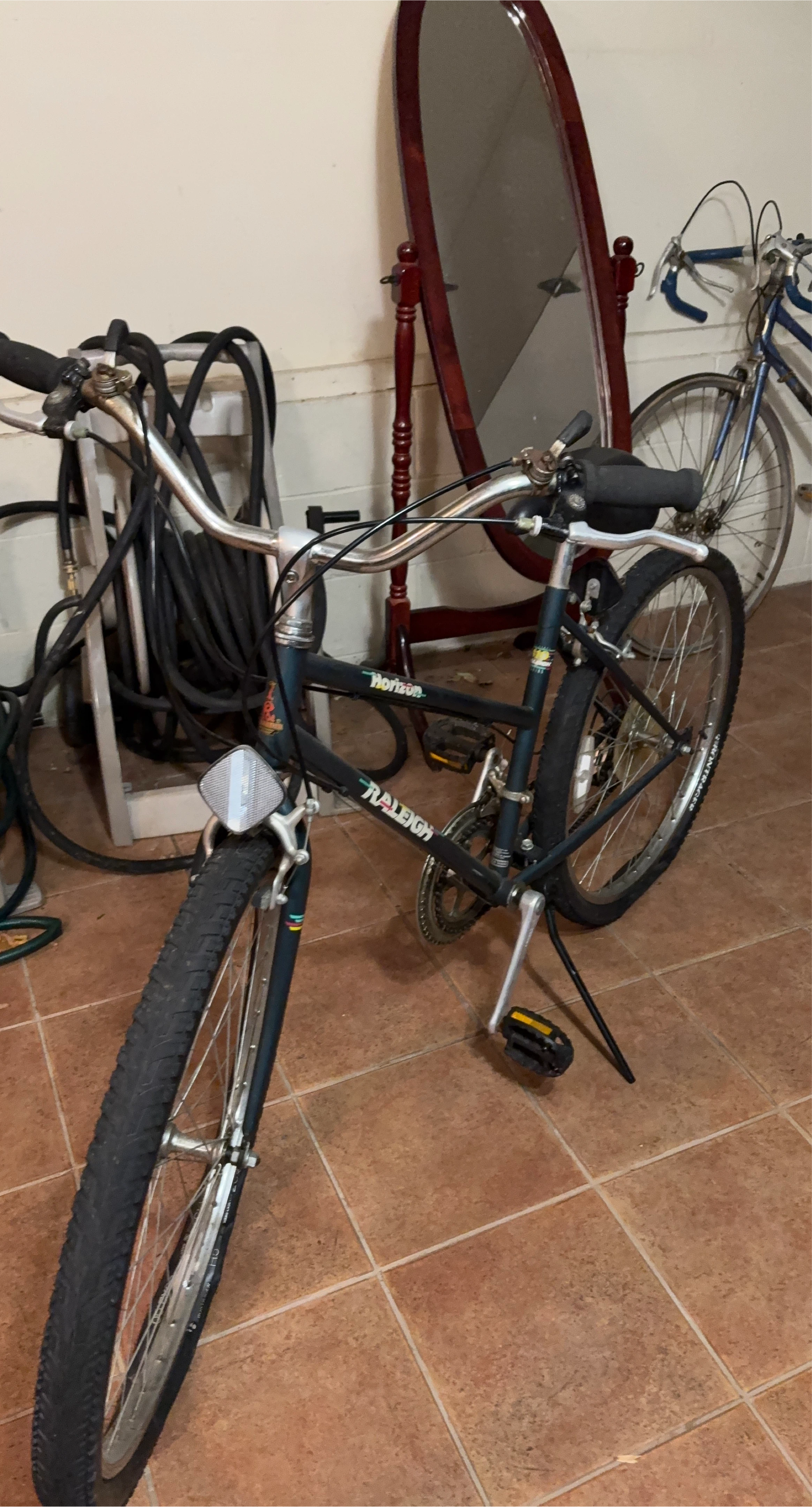 Raleigh Horizon Bicycle