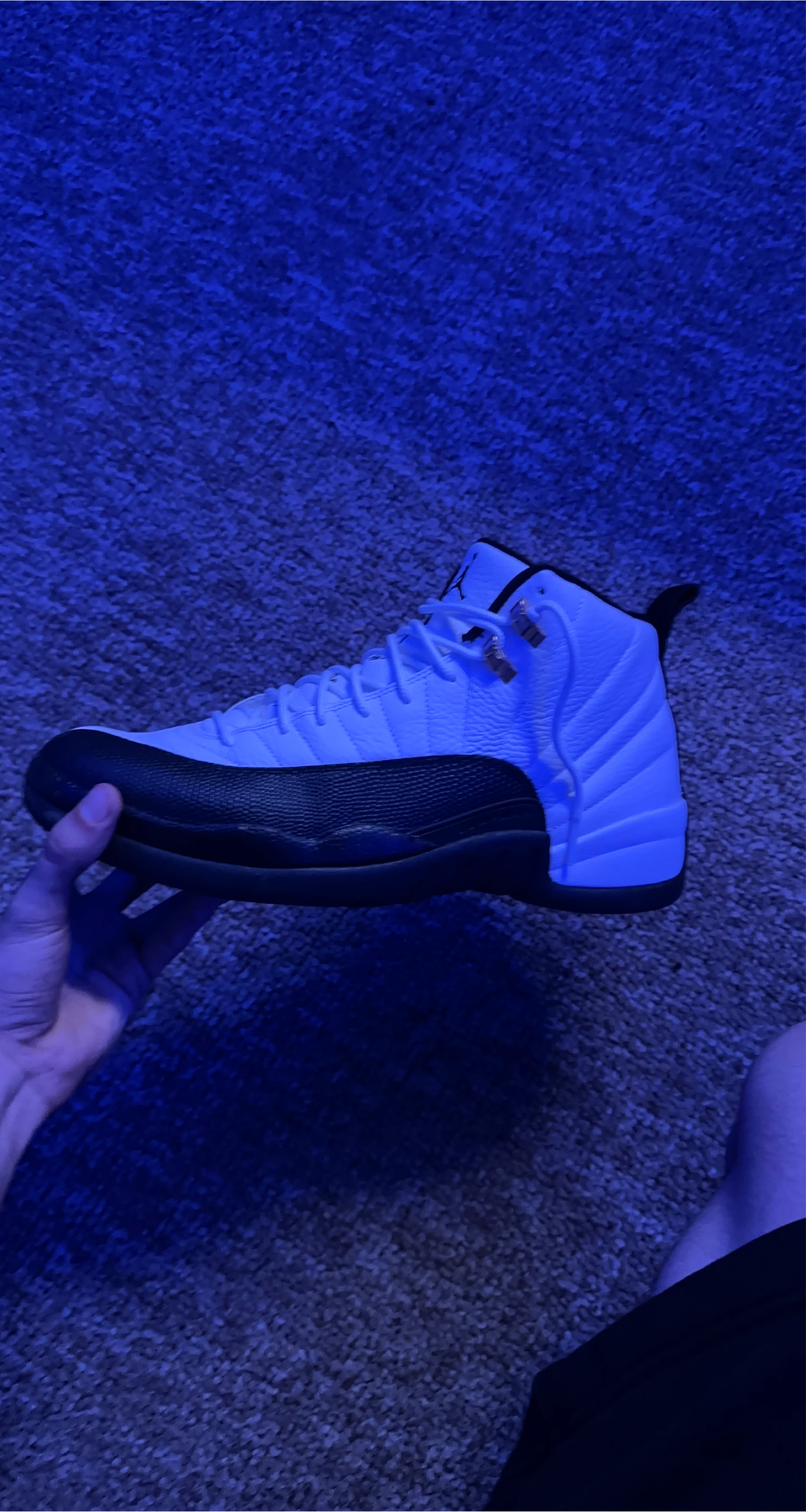 Air Jordan 12 Retro White/Black