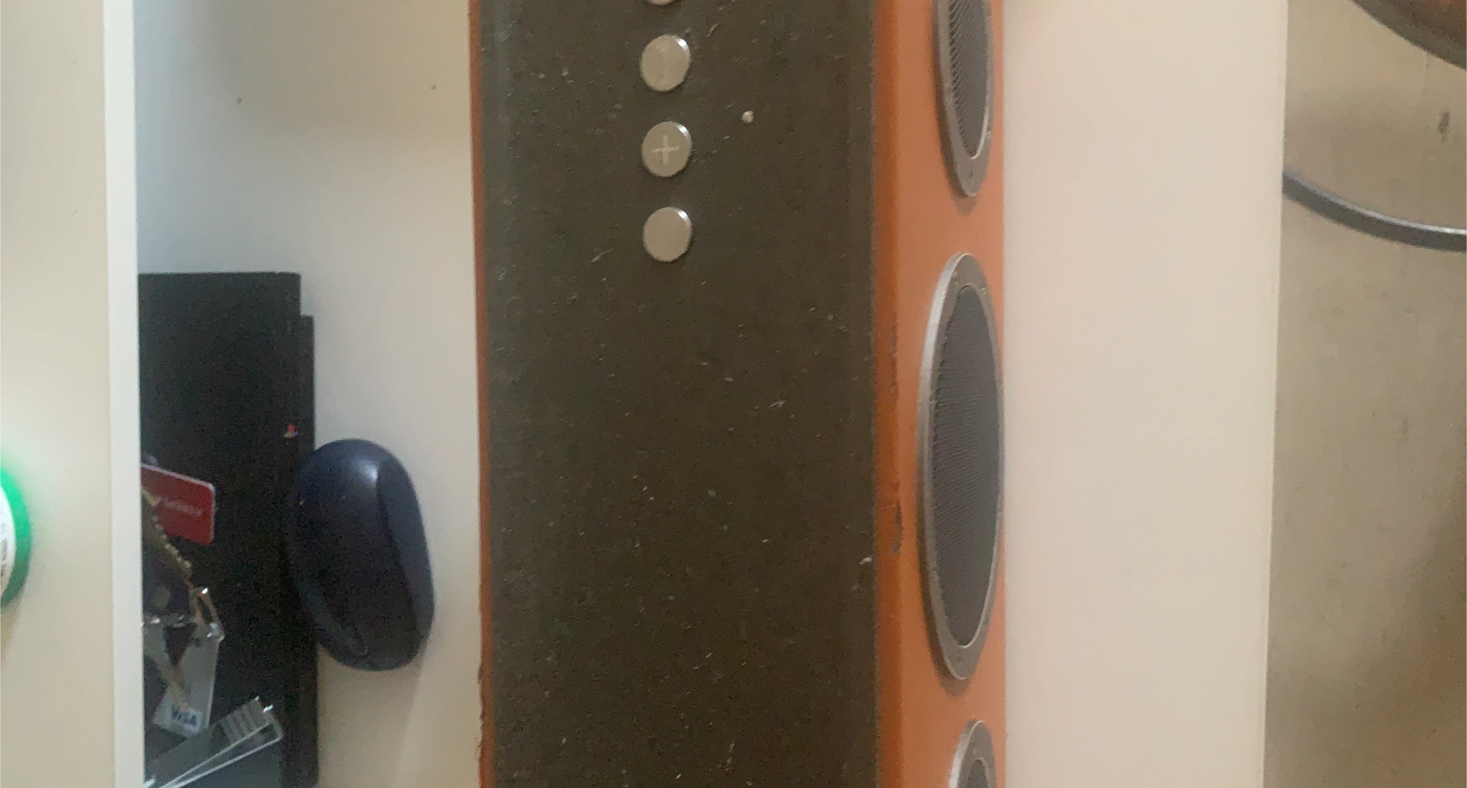 Brown & Black Speaker