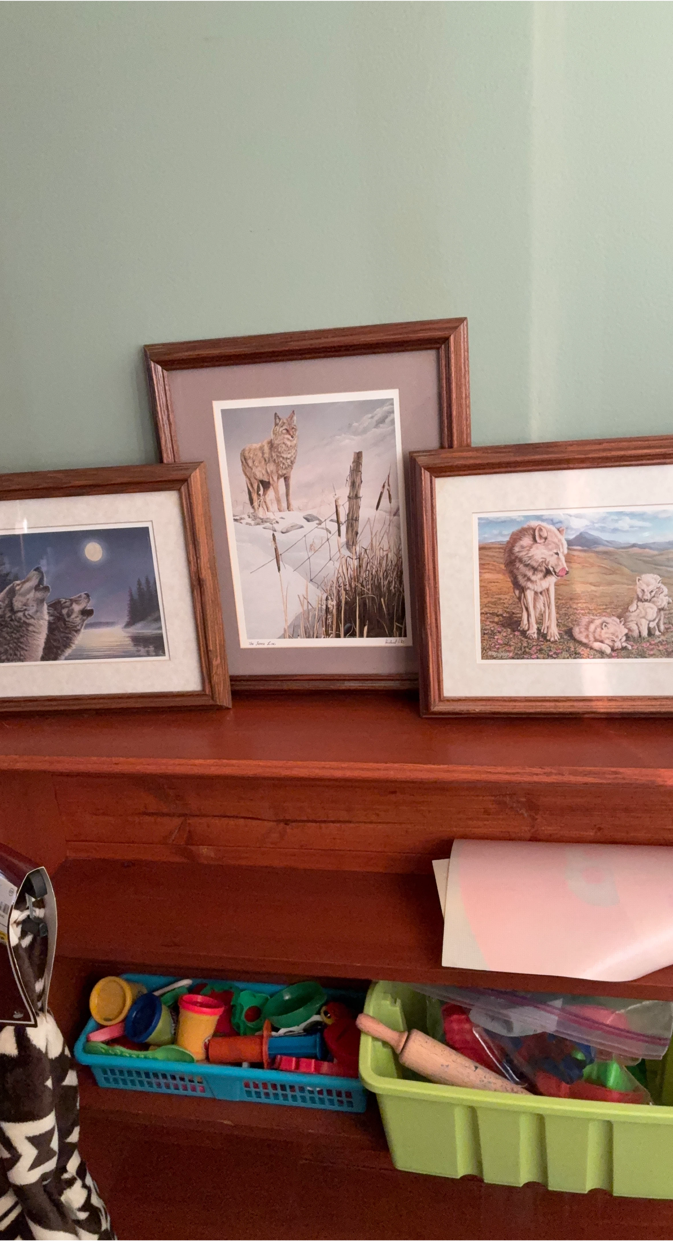 Framed Wolf Art Prints