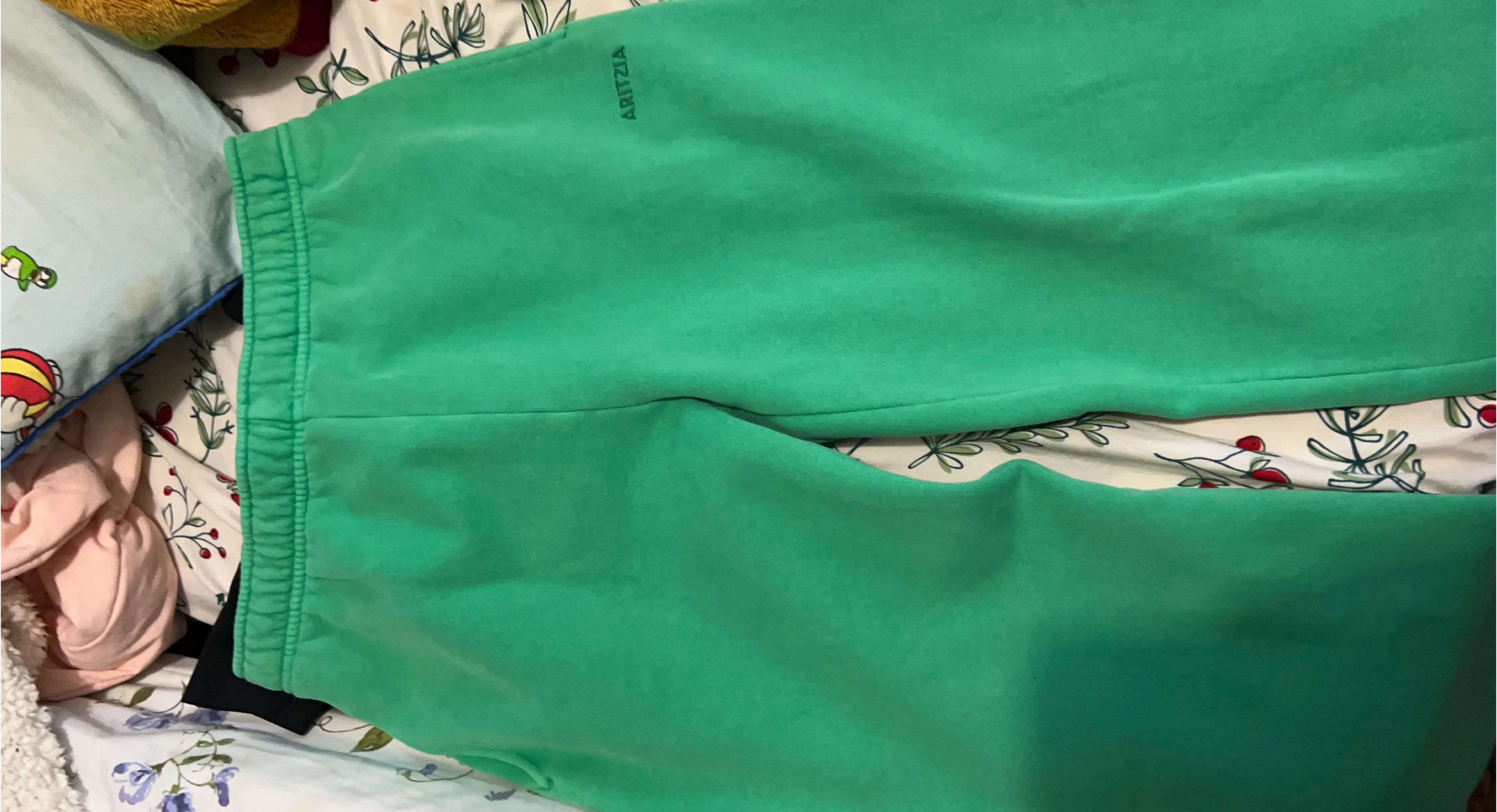 Aritzia Green Sweatpants