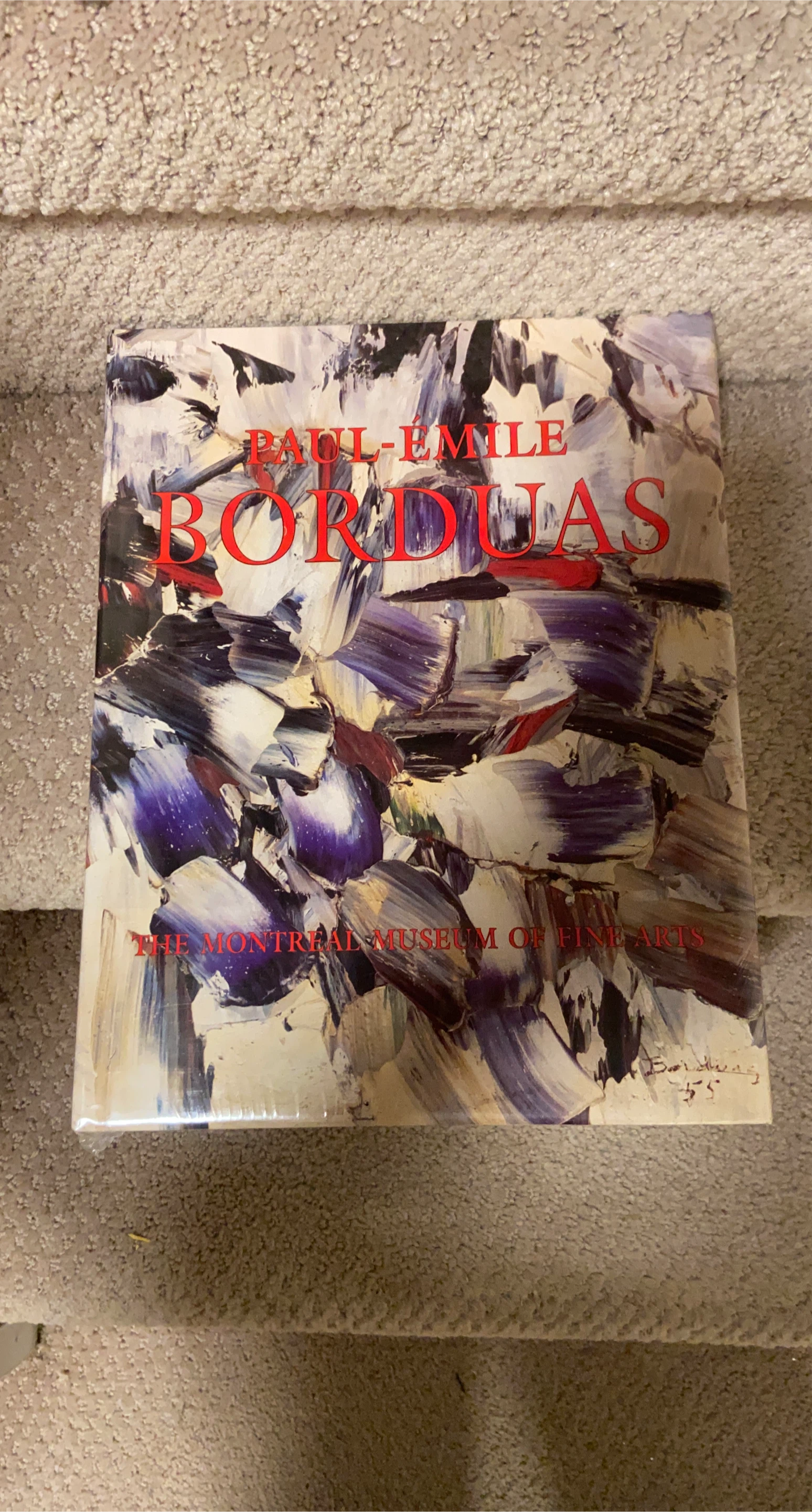 Paul-Émile Borduas: The Montreal Museum of Fine Arts Book