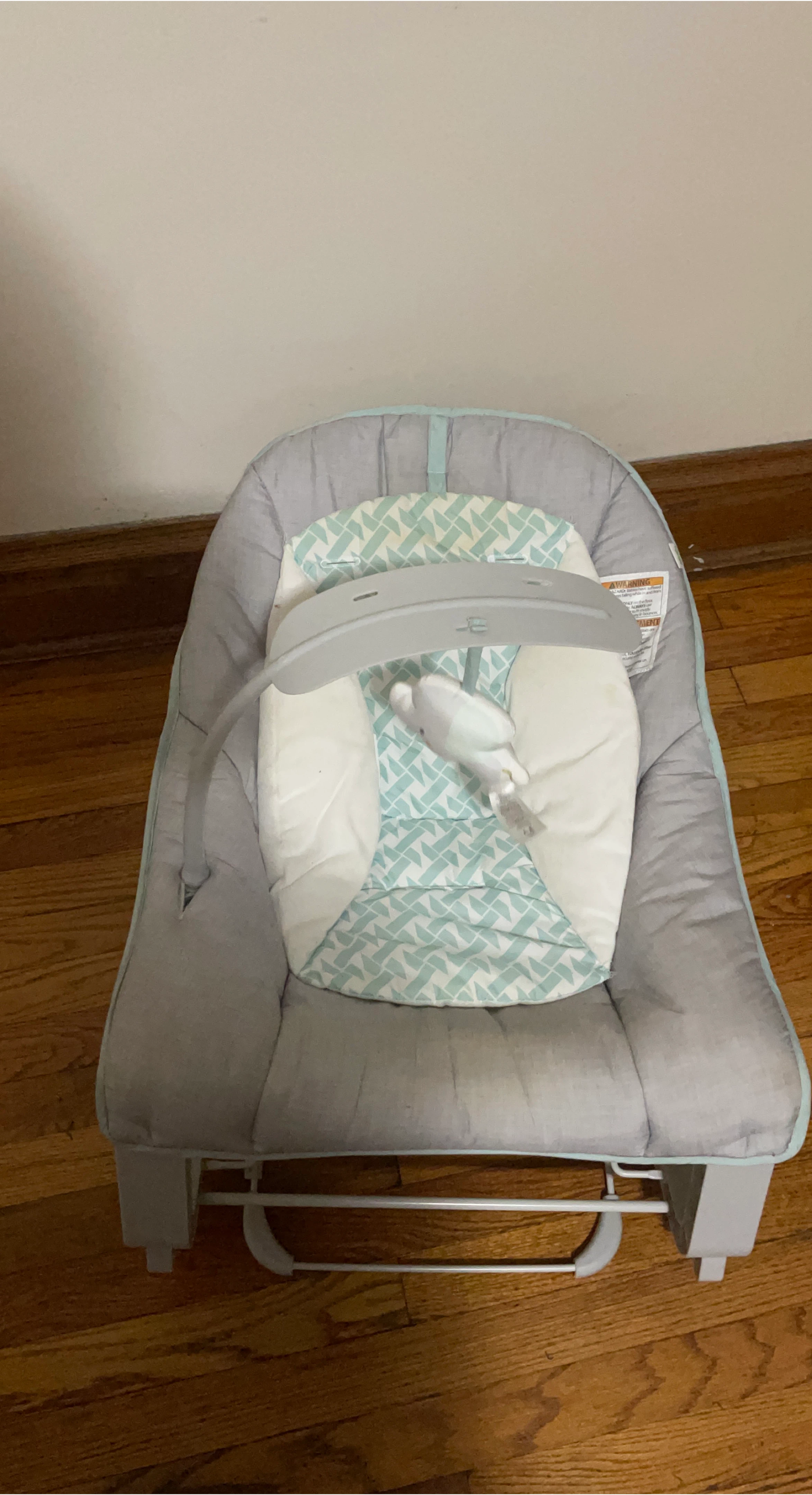 Baby Bouncer