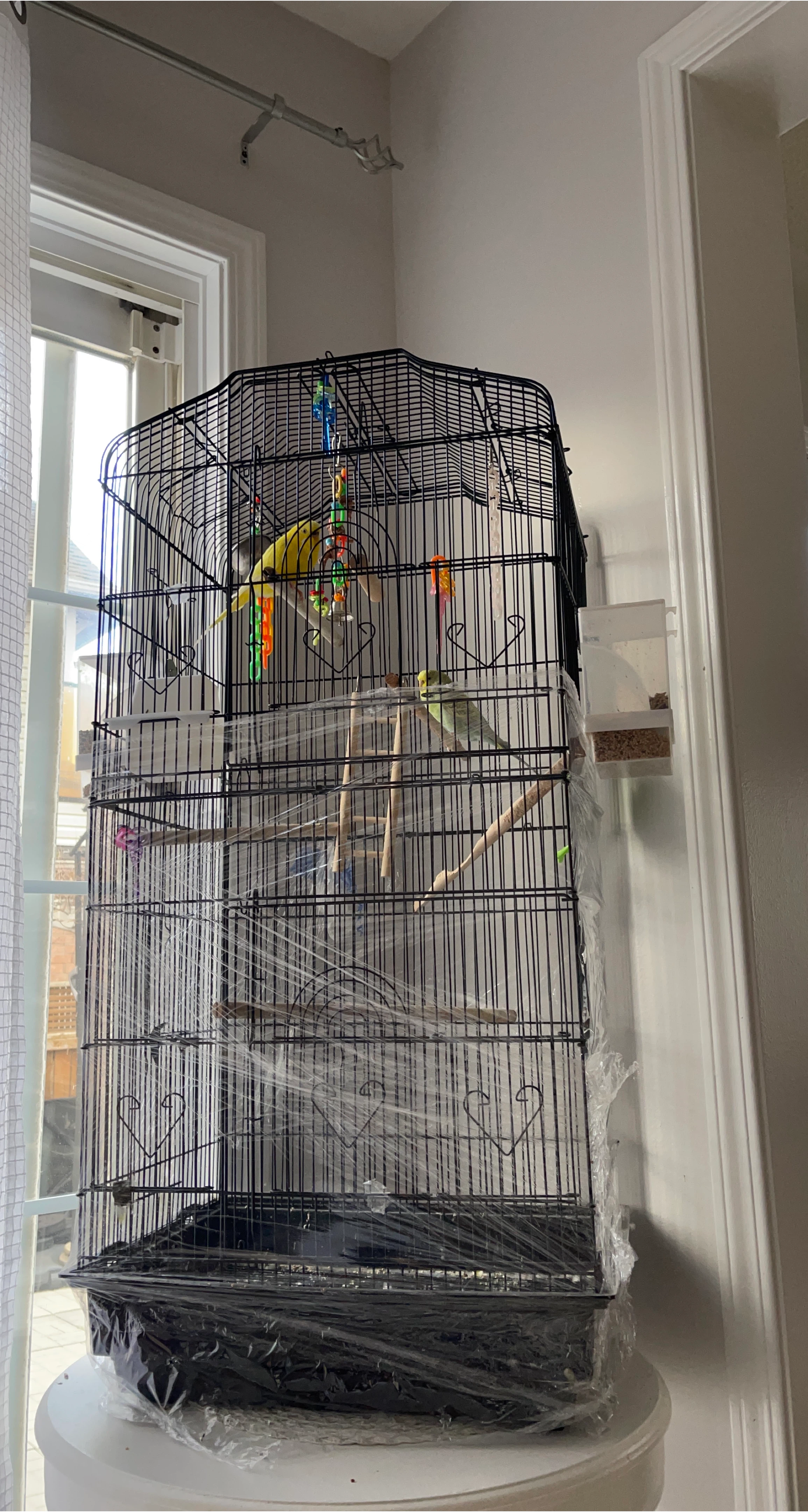 Bird Cage with Accessories