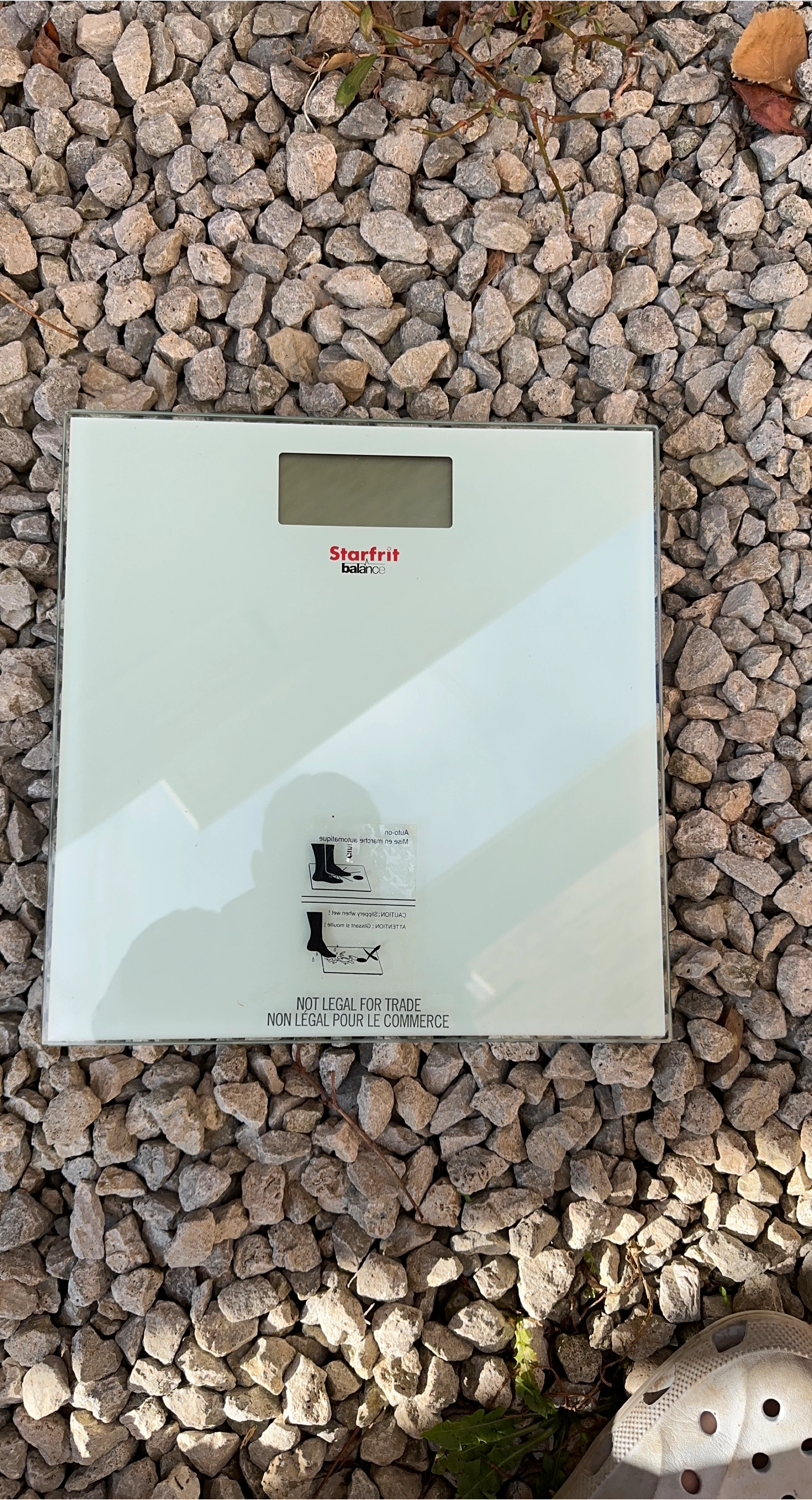 Starfrit Balanca Digital Scale