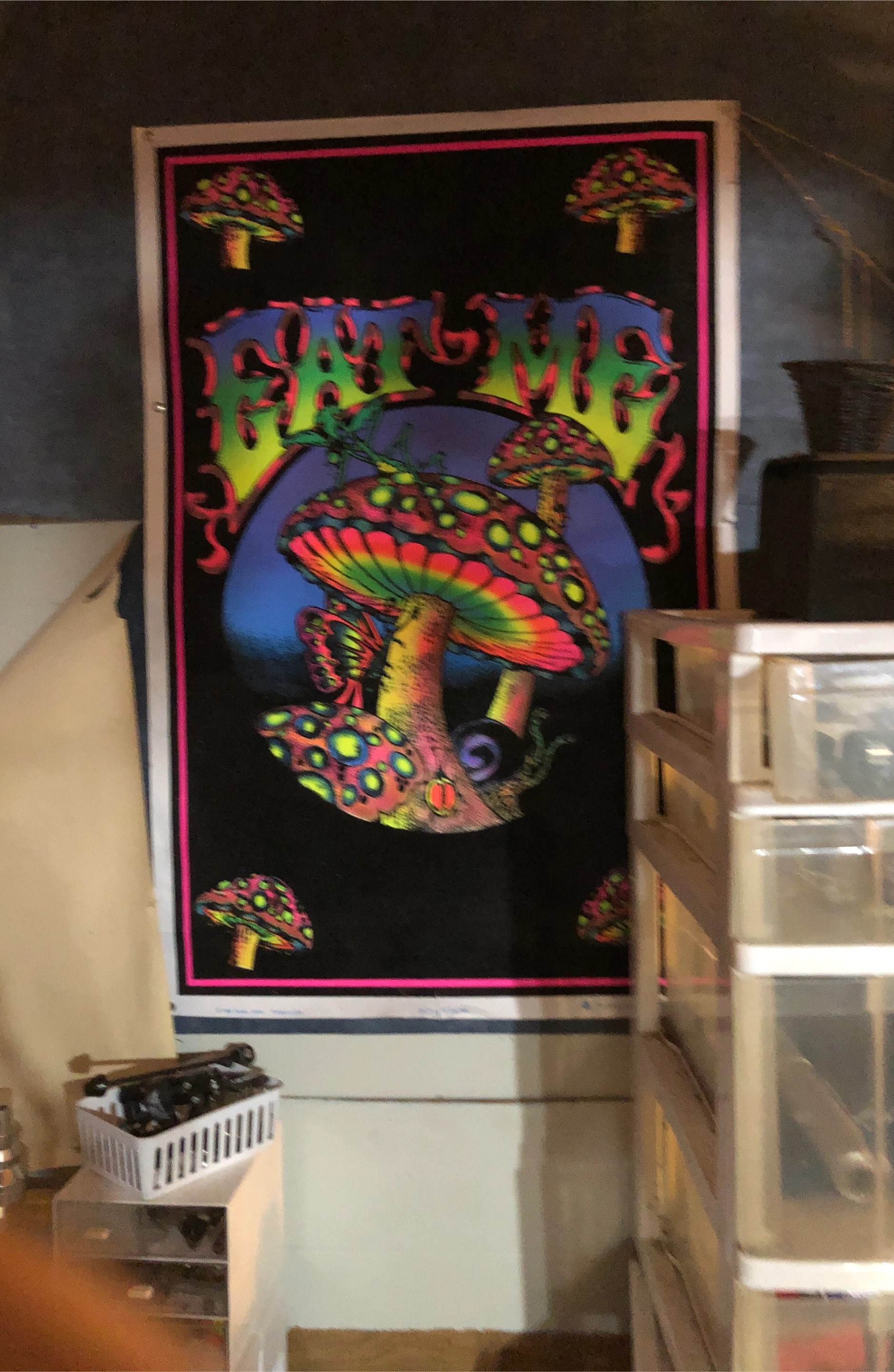 Framed Mushroom Blacklight Poster