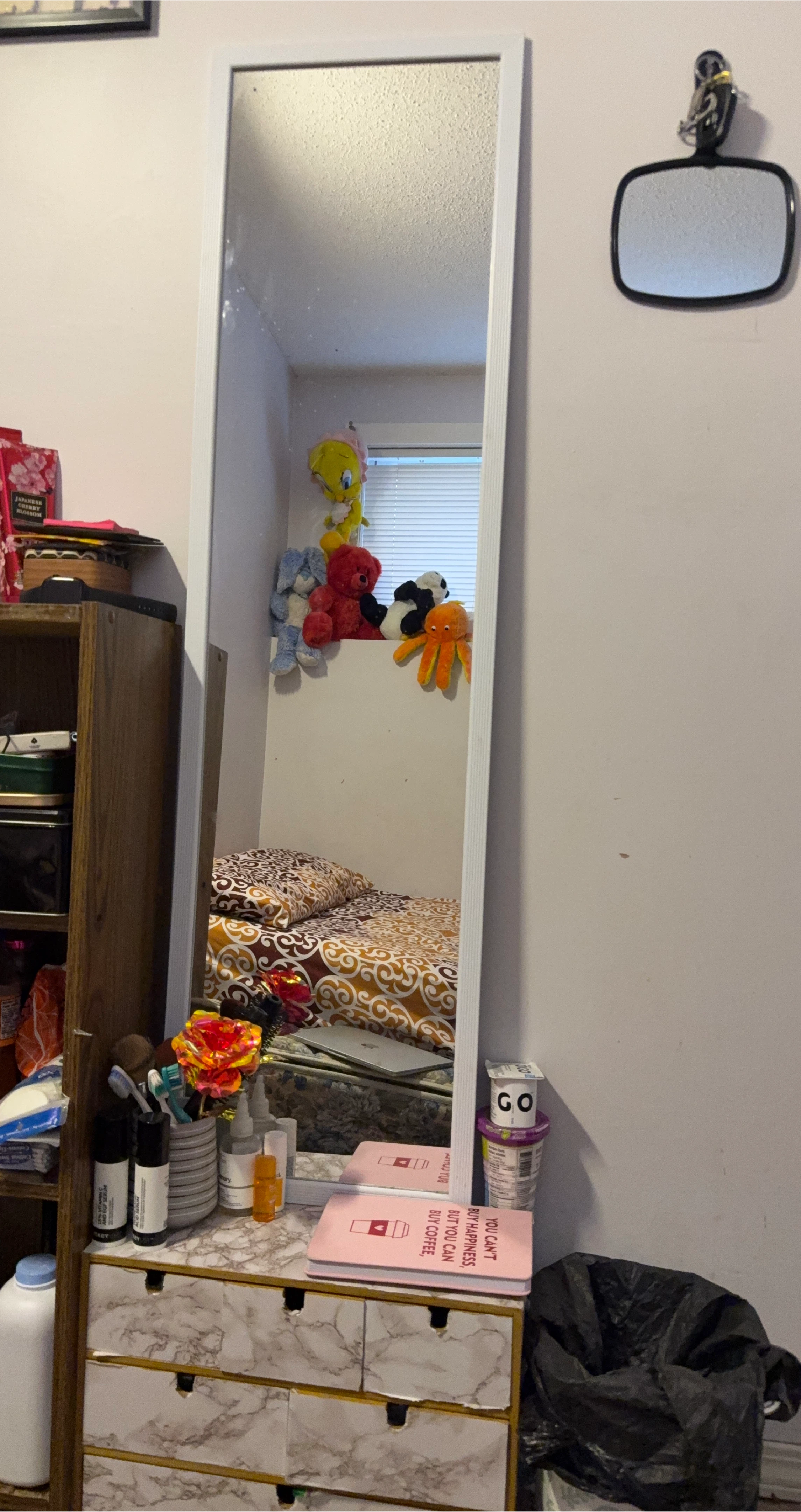 Full Length White Framed Mirror