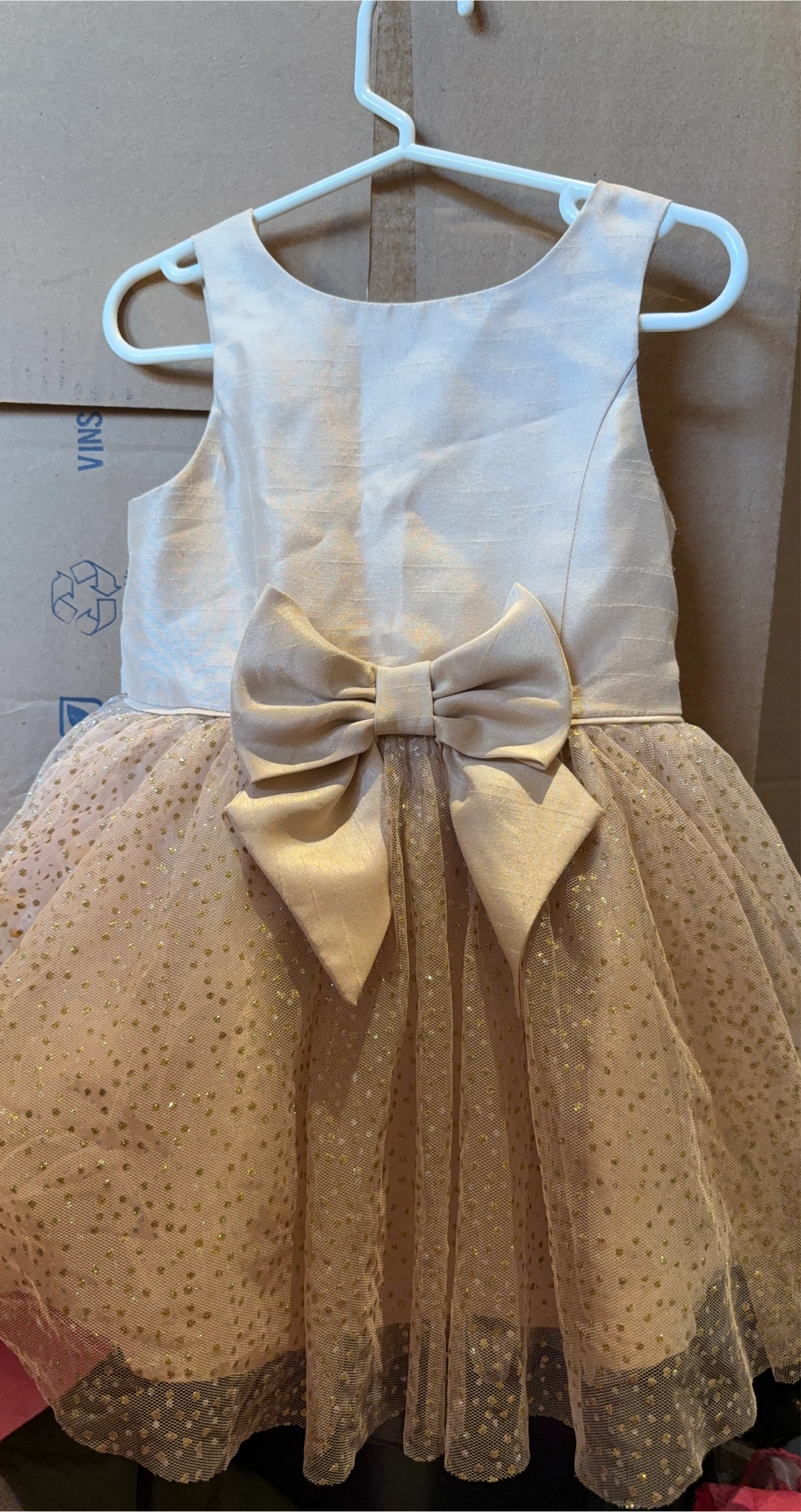Girl's Party Dress - Champagne Colour