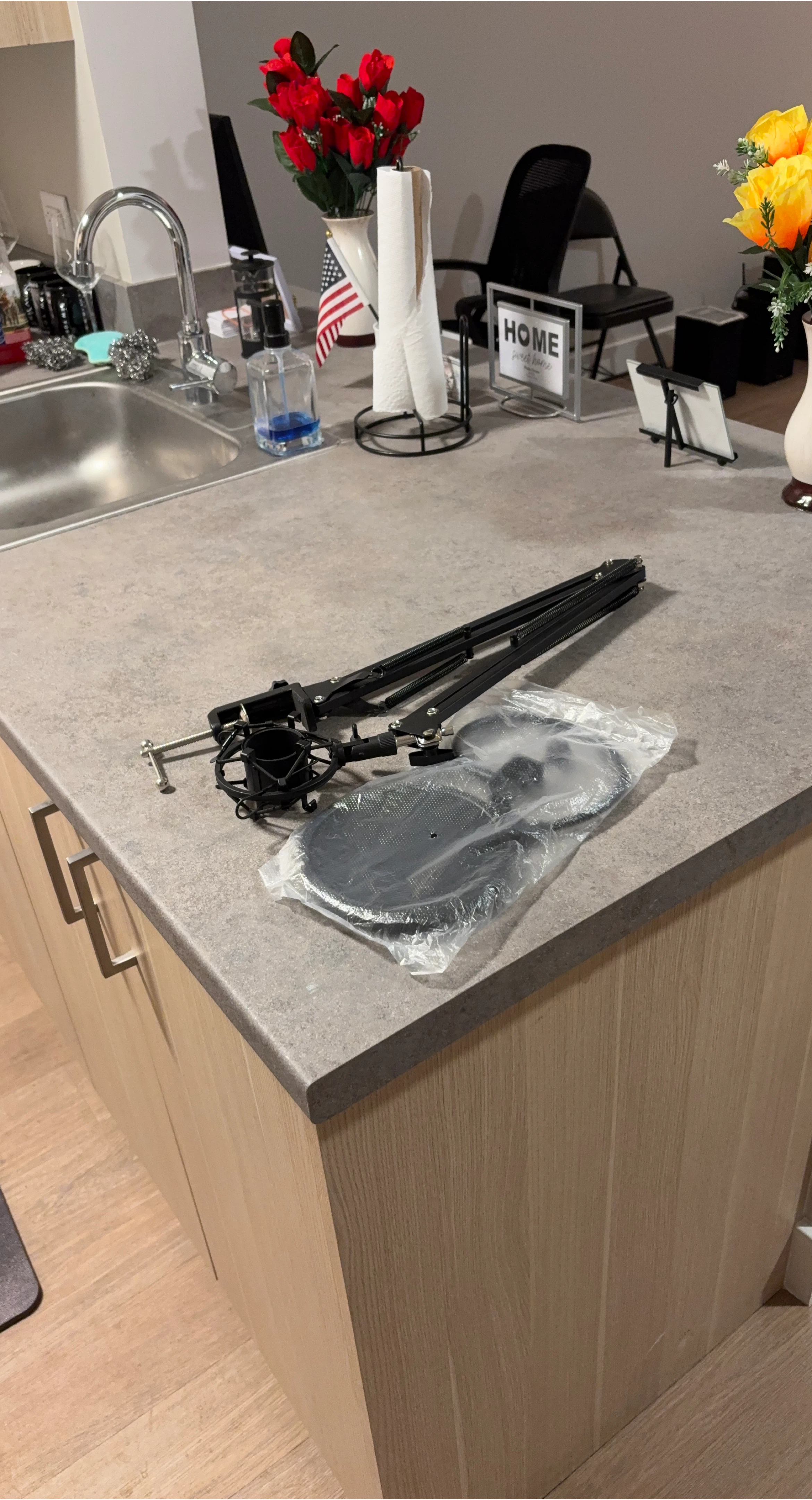 Microphone Stand with Pop Filter