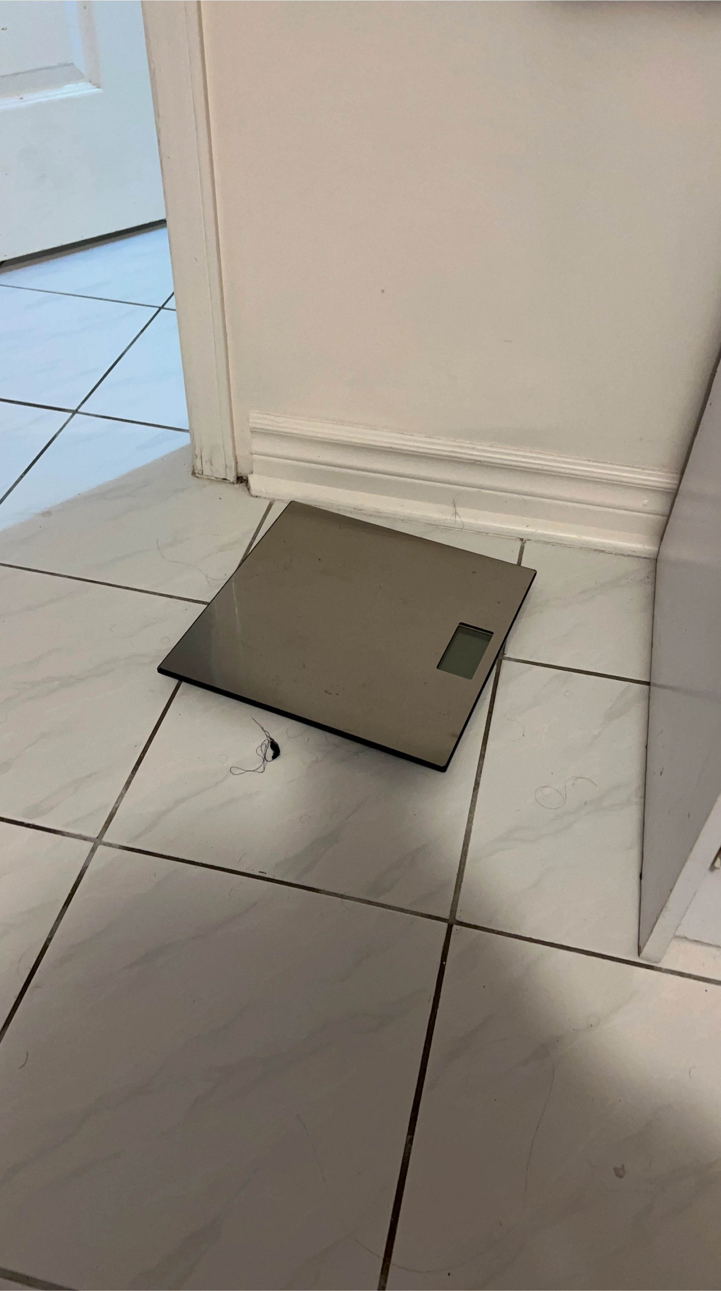Bathroom Scale