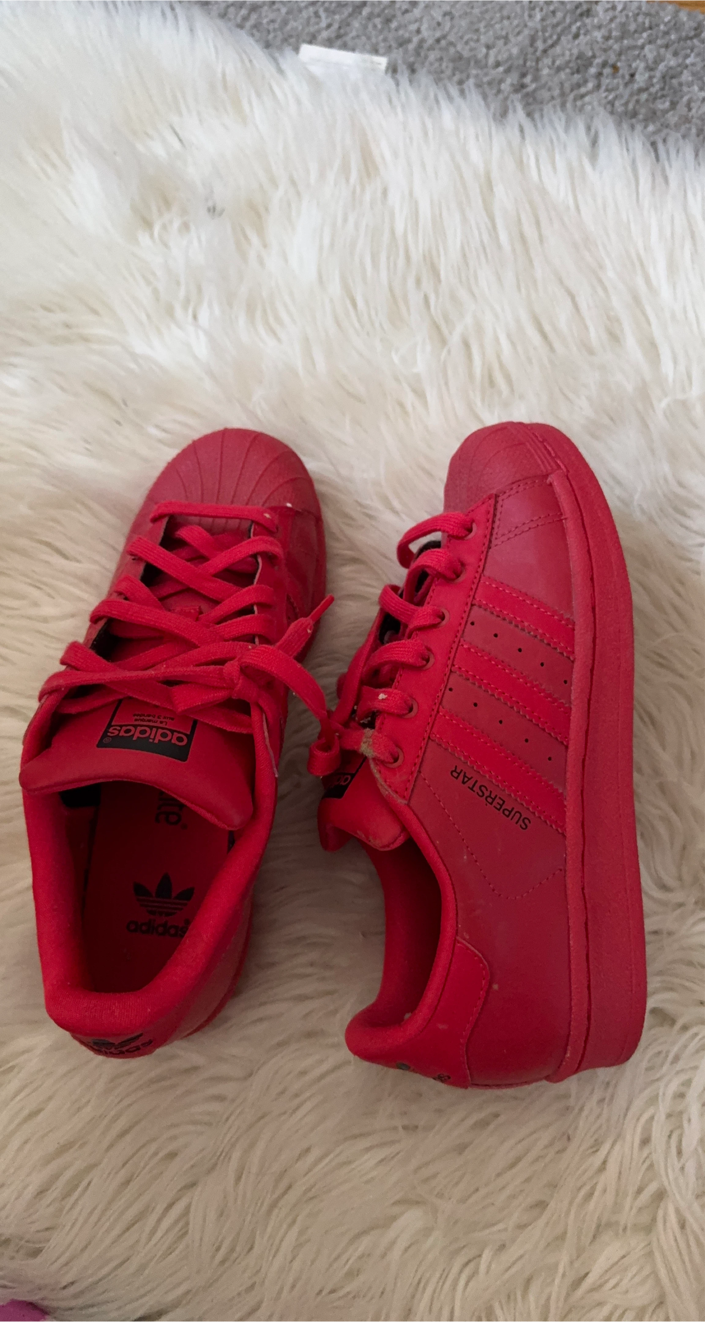 Adidas Superstar Red - US 4 Youth
