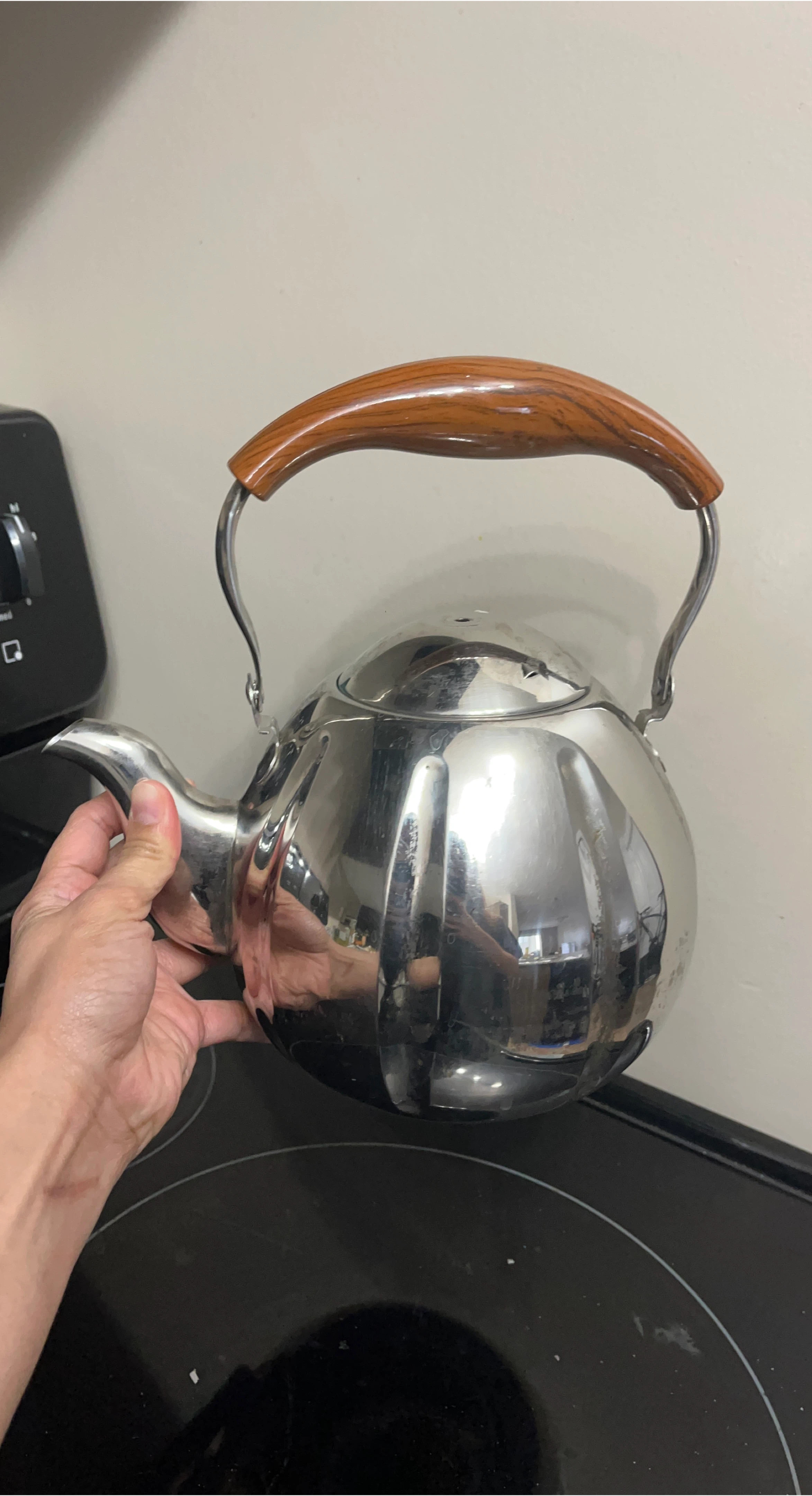 Stainless Steel Tea Kettle with Wood Handle