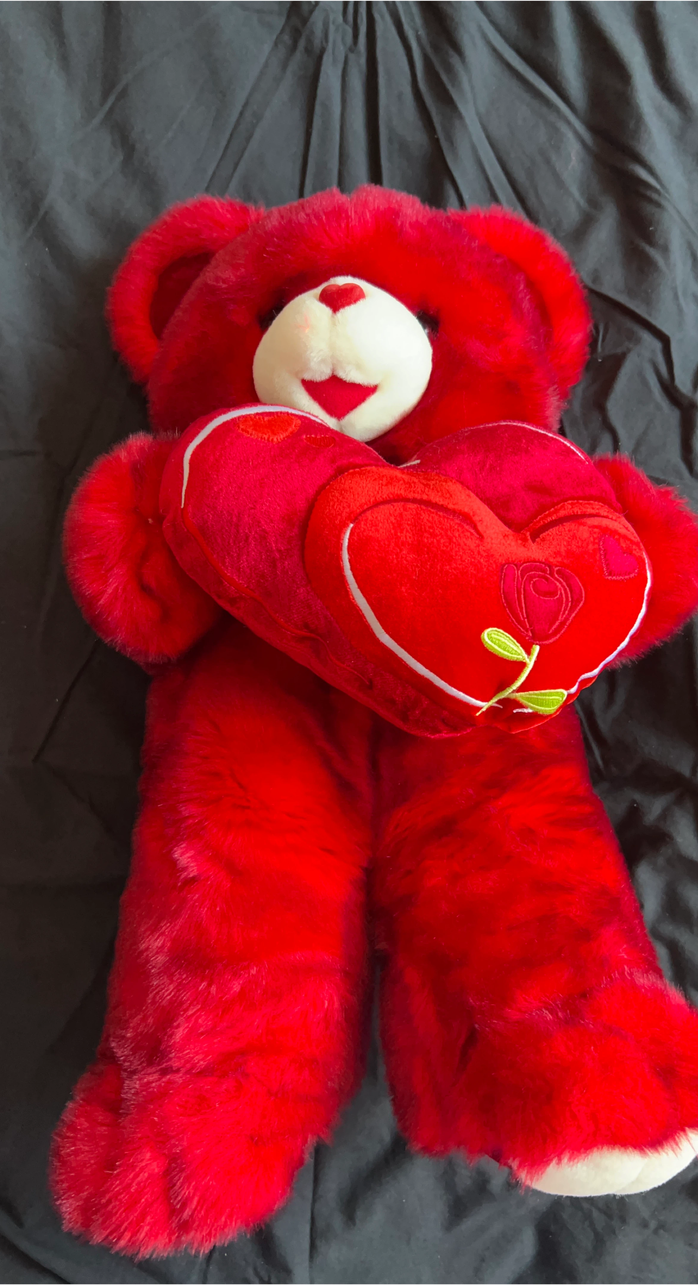 Red Plush Teddy Bear with Heart