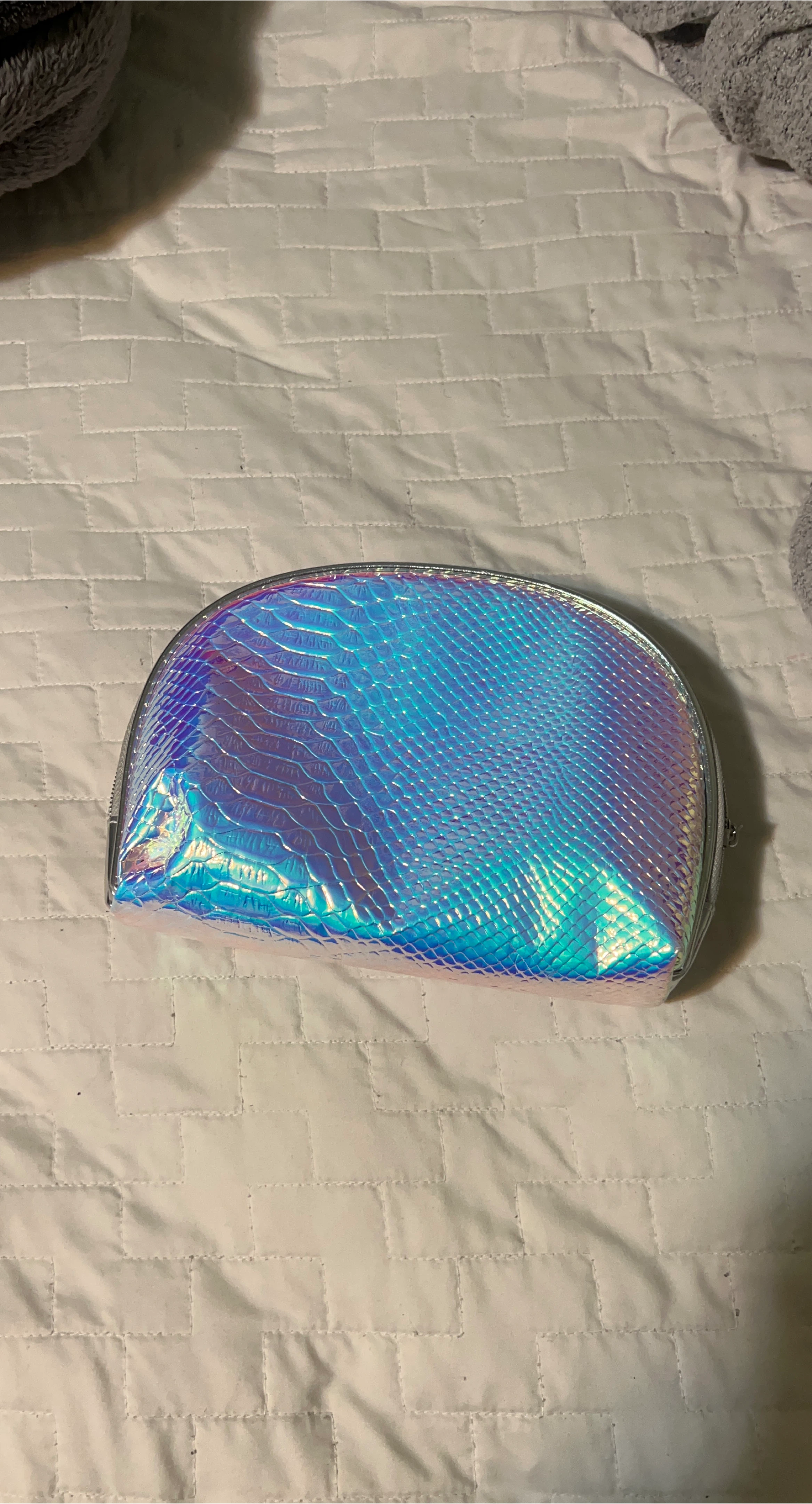 Iridescent Makeup Bag