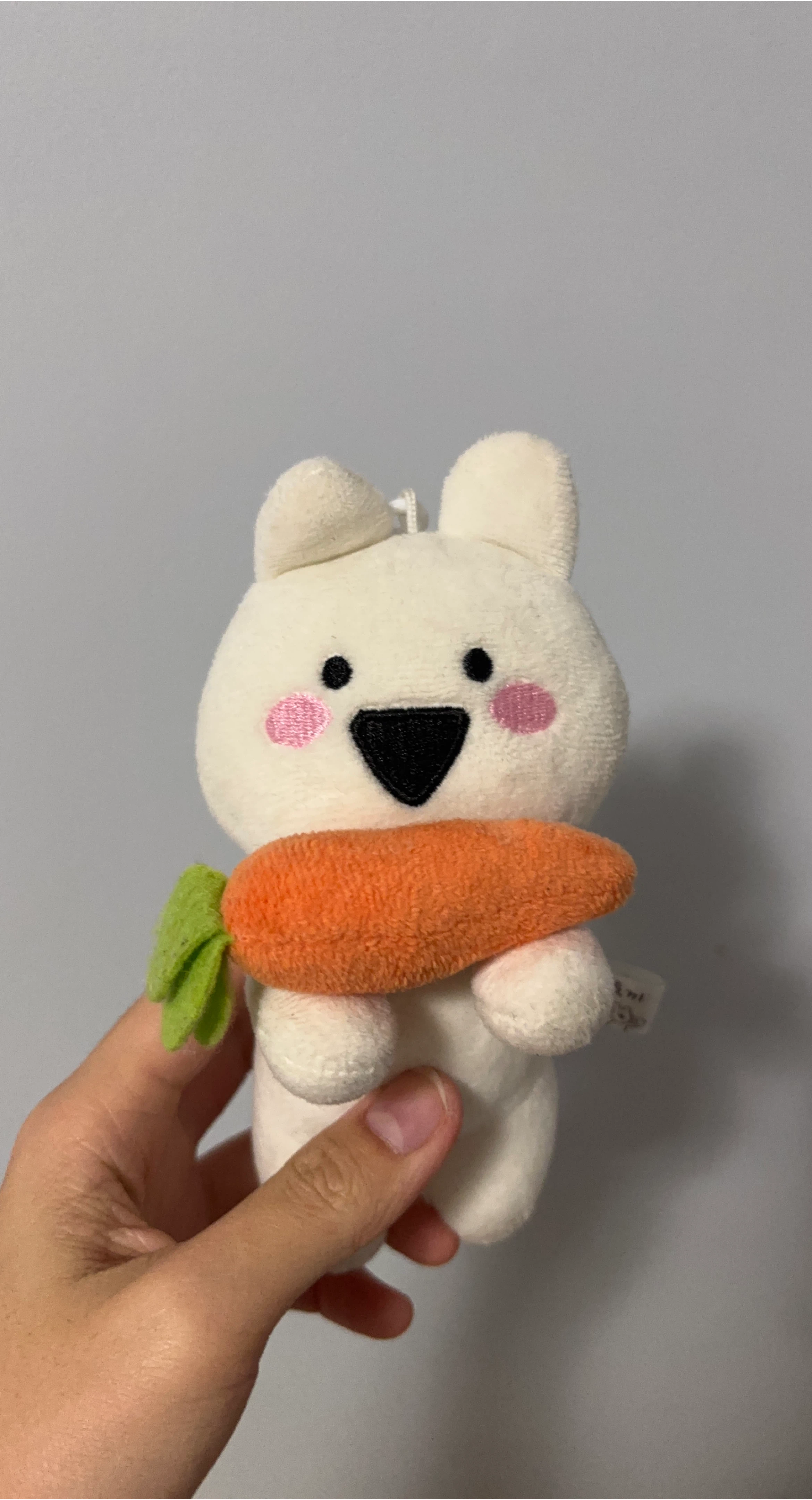 Cute Bunny Plushie with Carrot