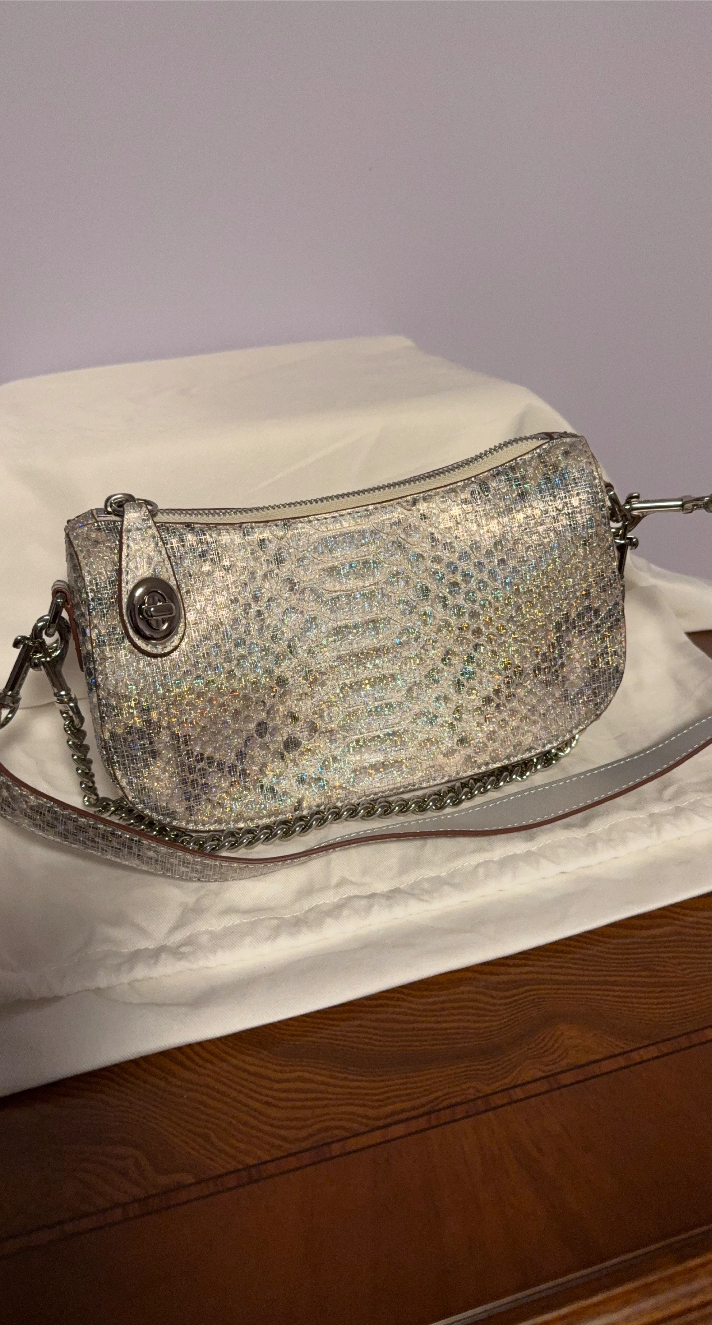 Coach Silver Snakeskin Print Handbag