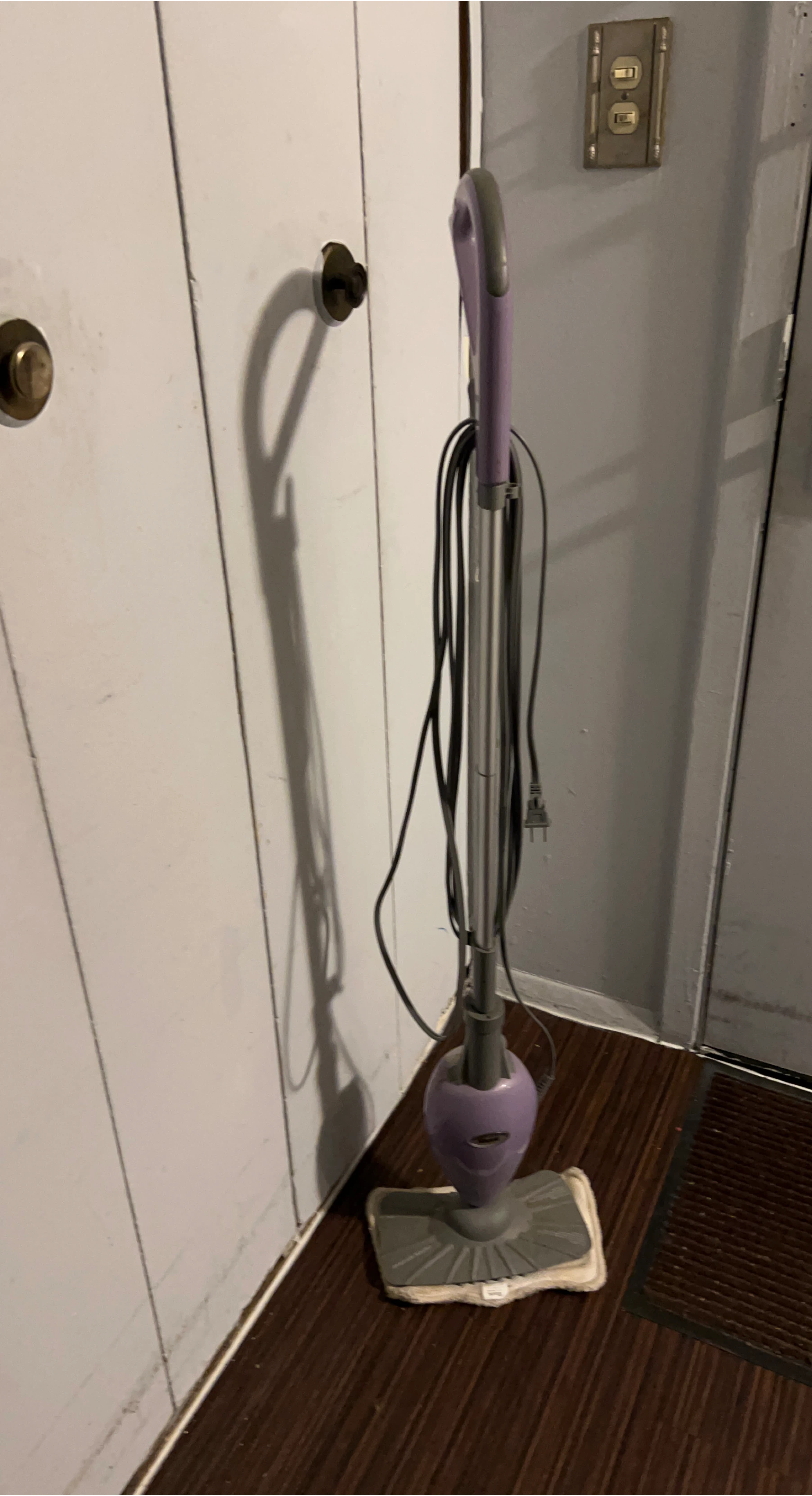 Purple Steam Mop