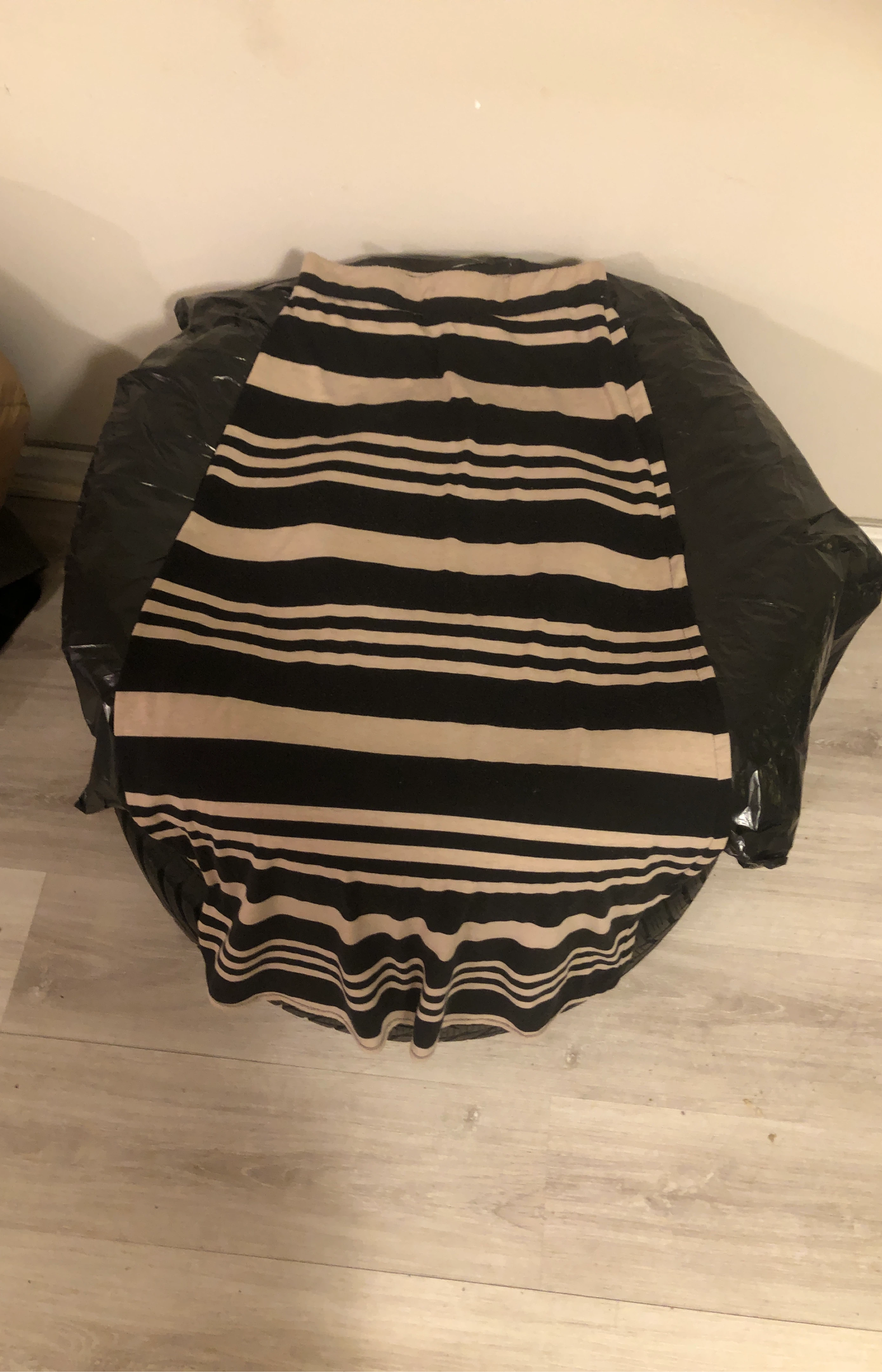 Striped Skirt - Beige and Black image indicator(1)