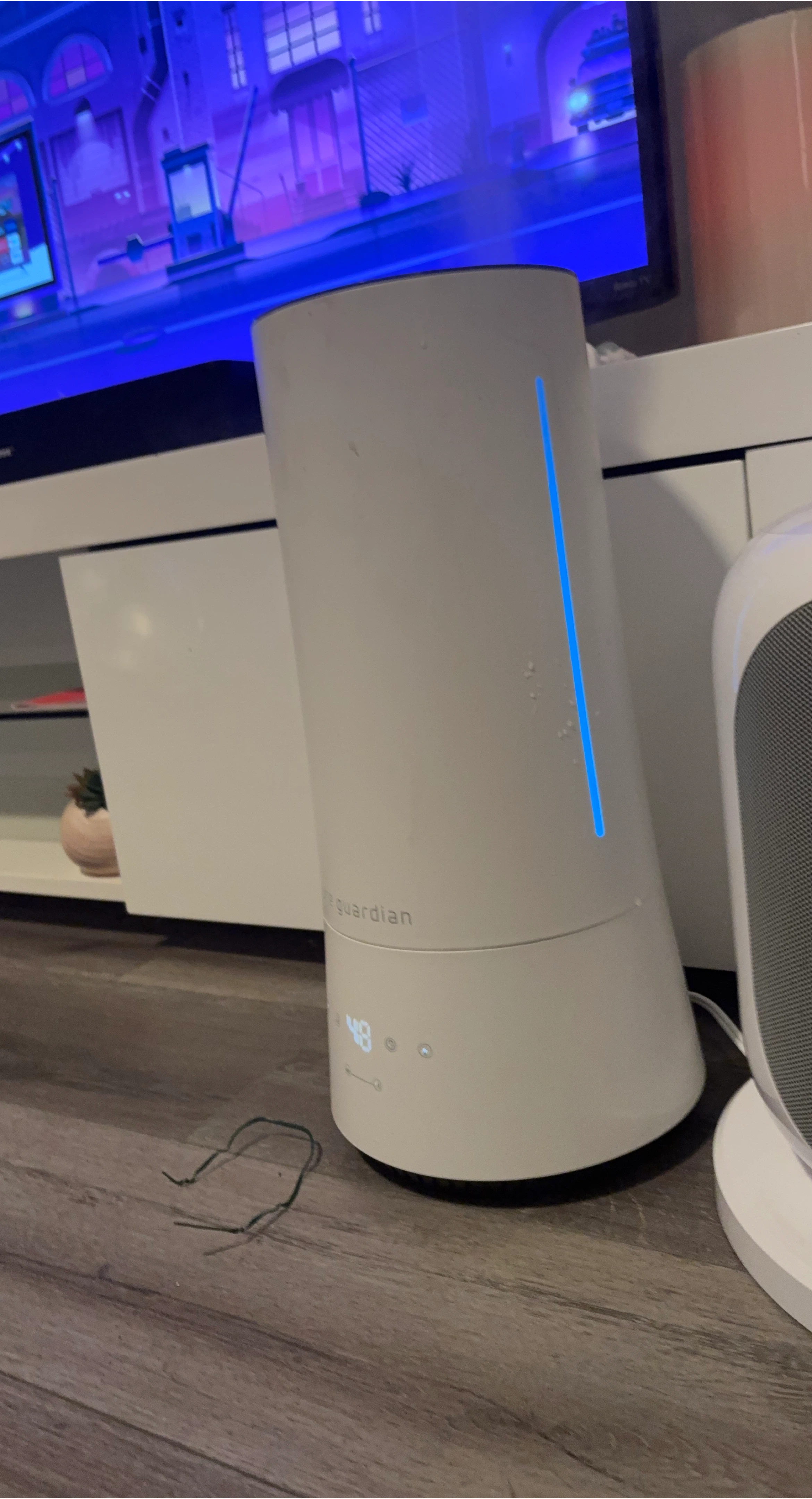 PureGuardian 90-Hour Ultrasonic Humidifier