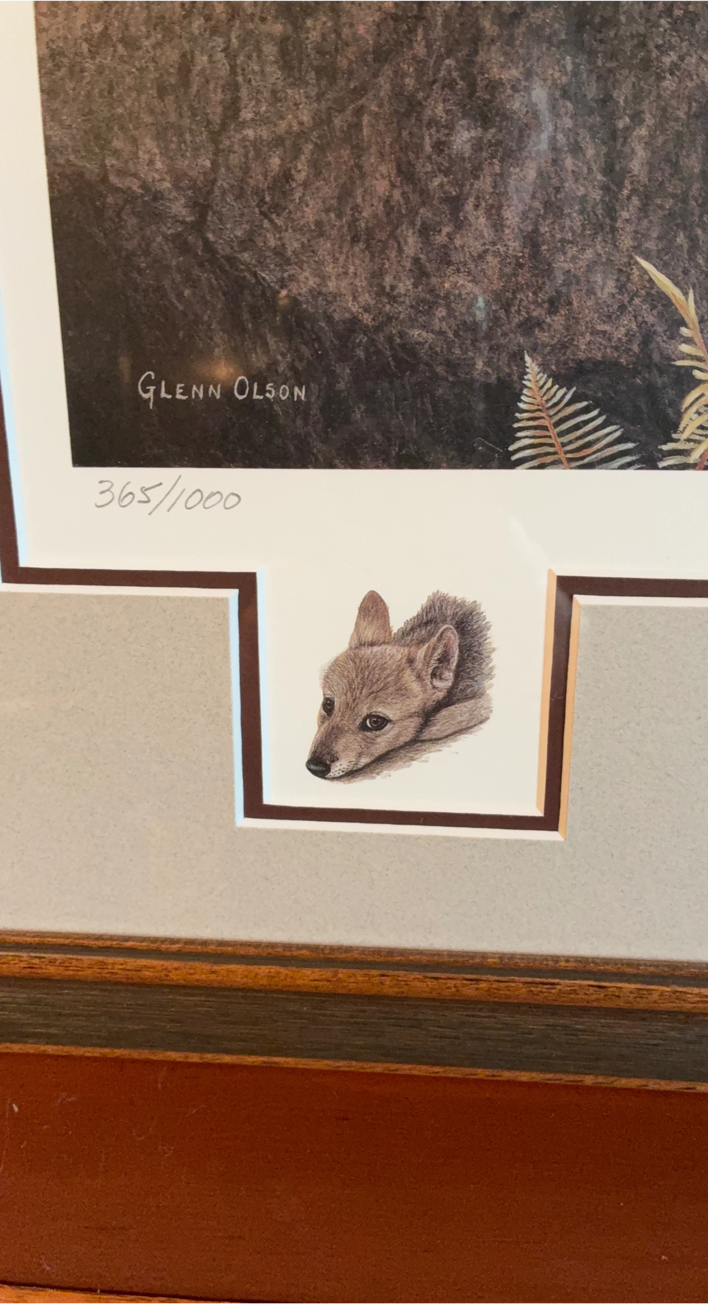 Framed Glenn Olson Print - "Two Little Guys"
