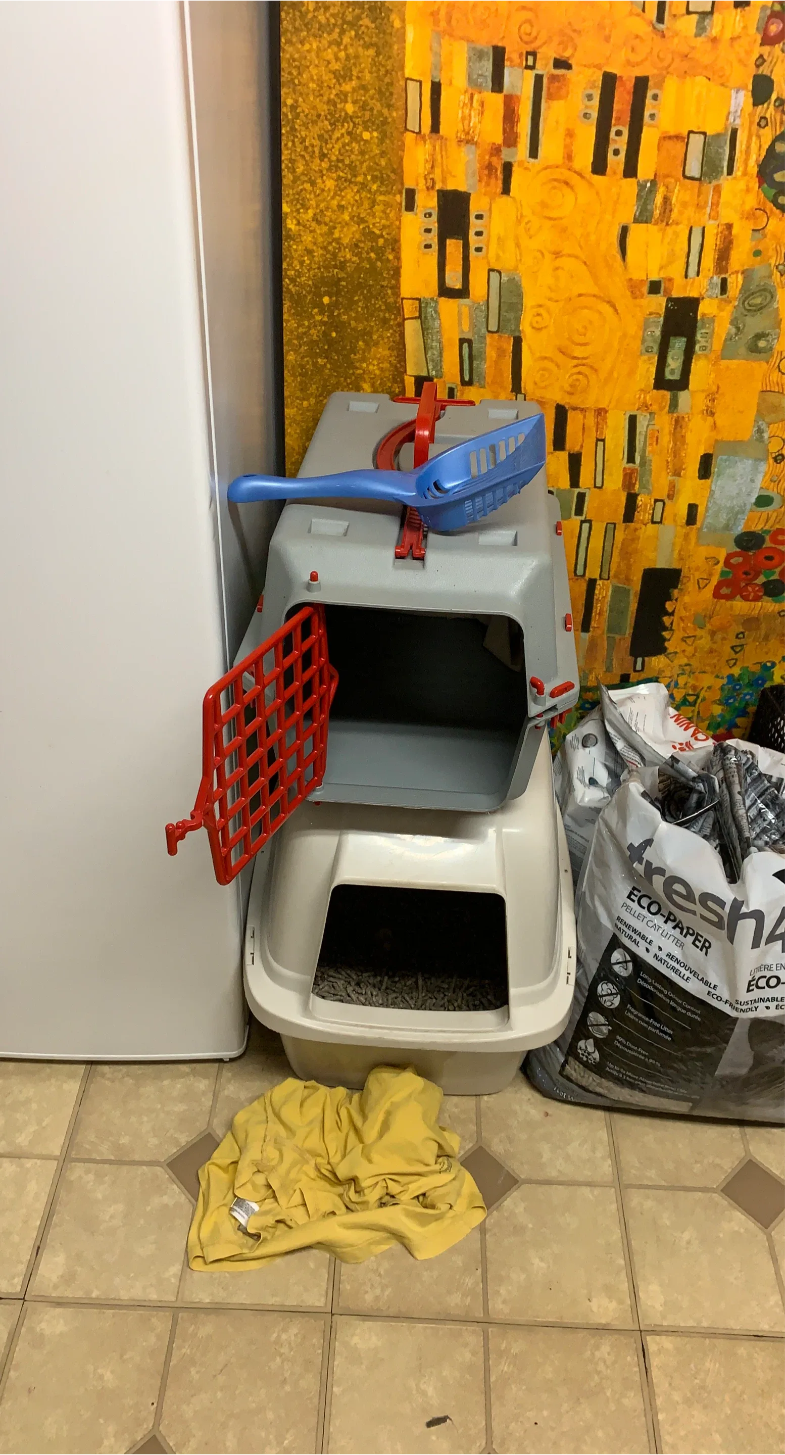 Used Cat Carrier and Litter Box