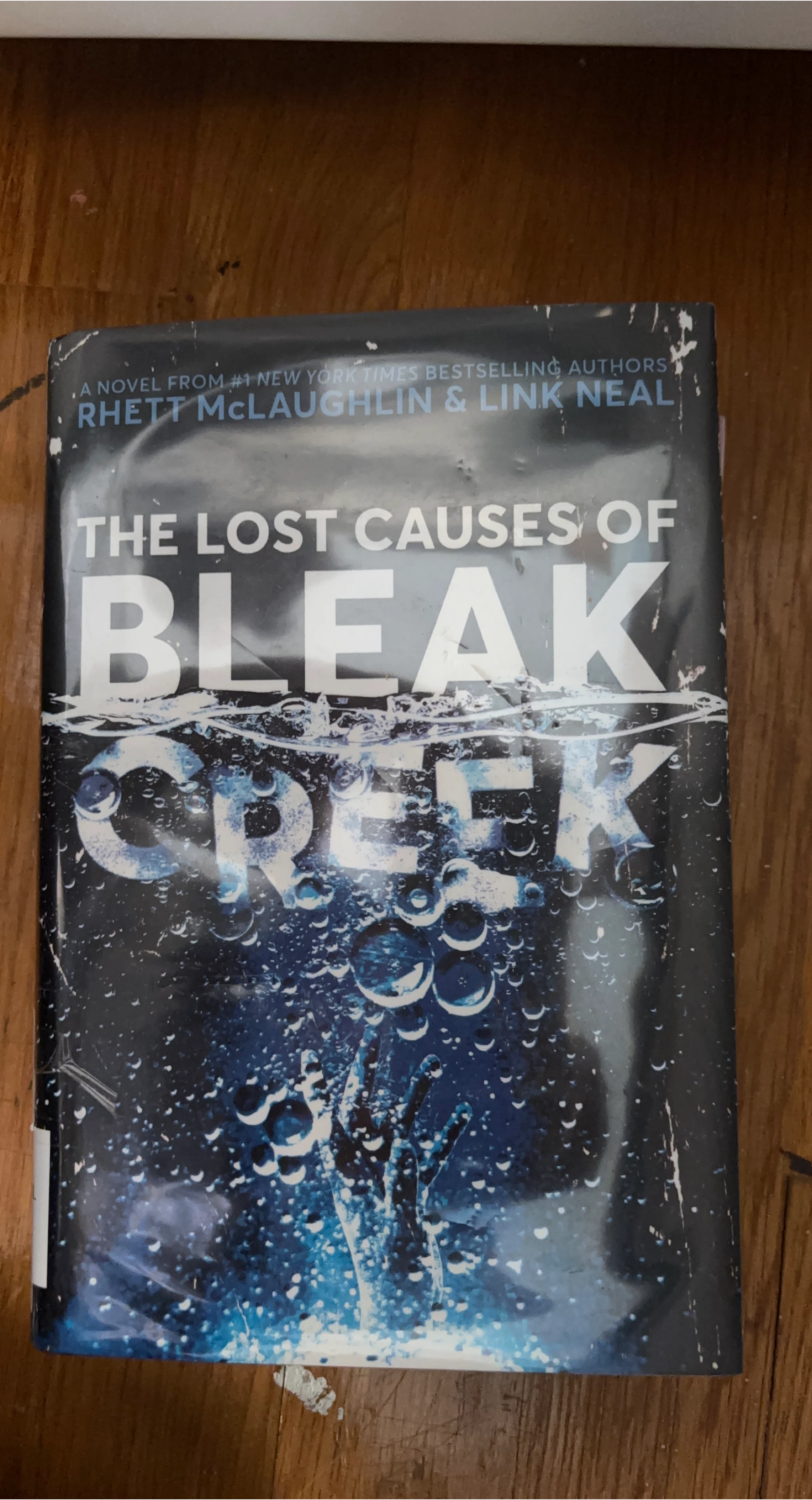 The Lost Causes of Bleak Creek by Rhett McLaughlin & Link Neal