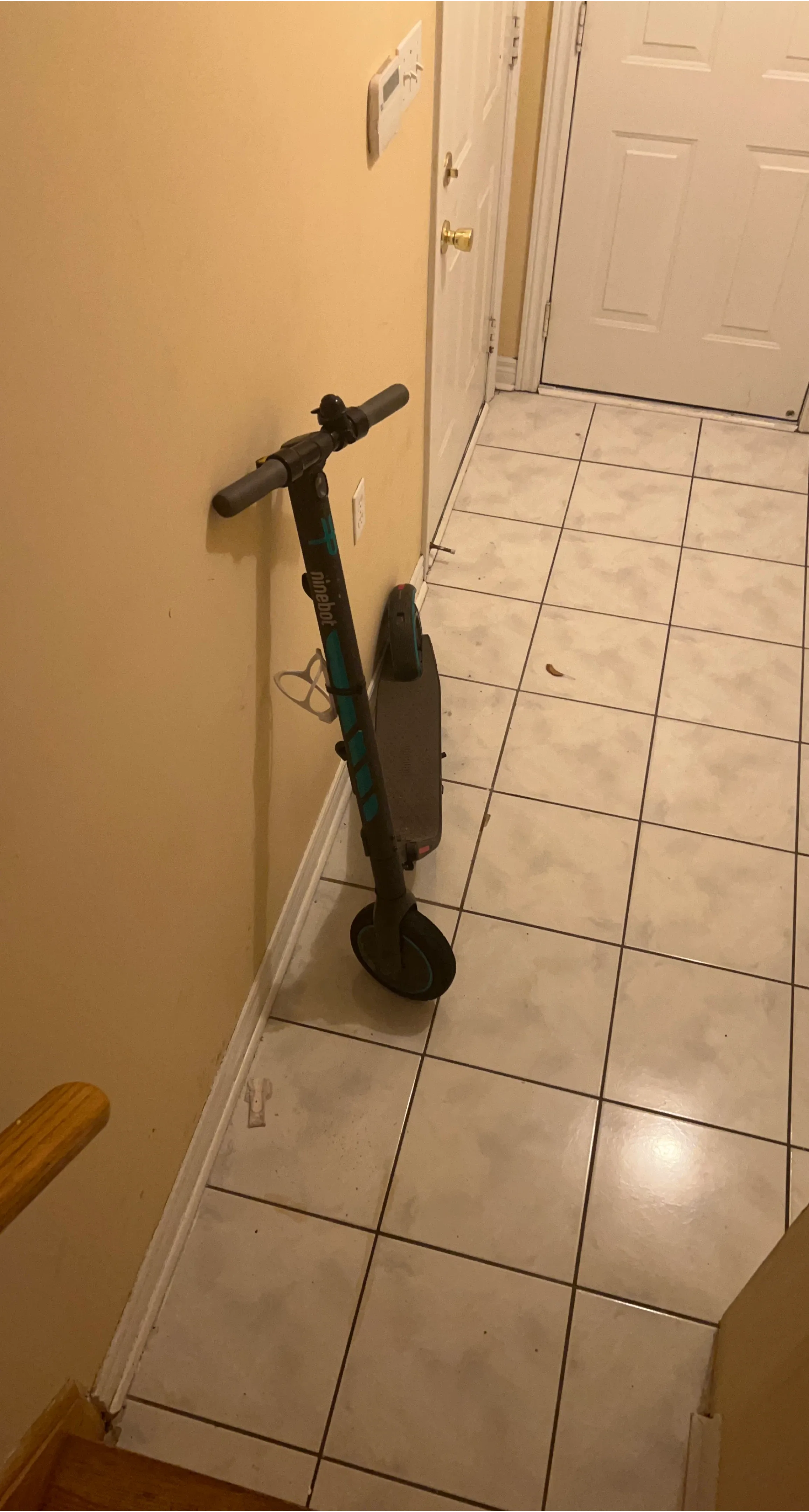 Ninebot Electric Scooter
