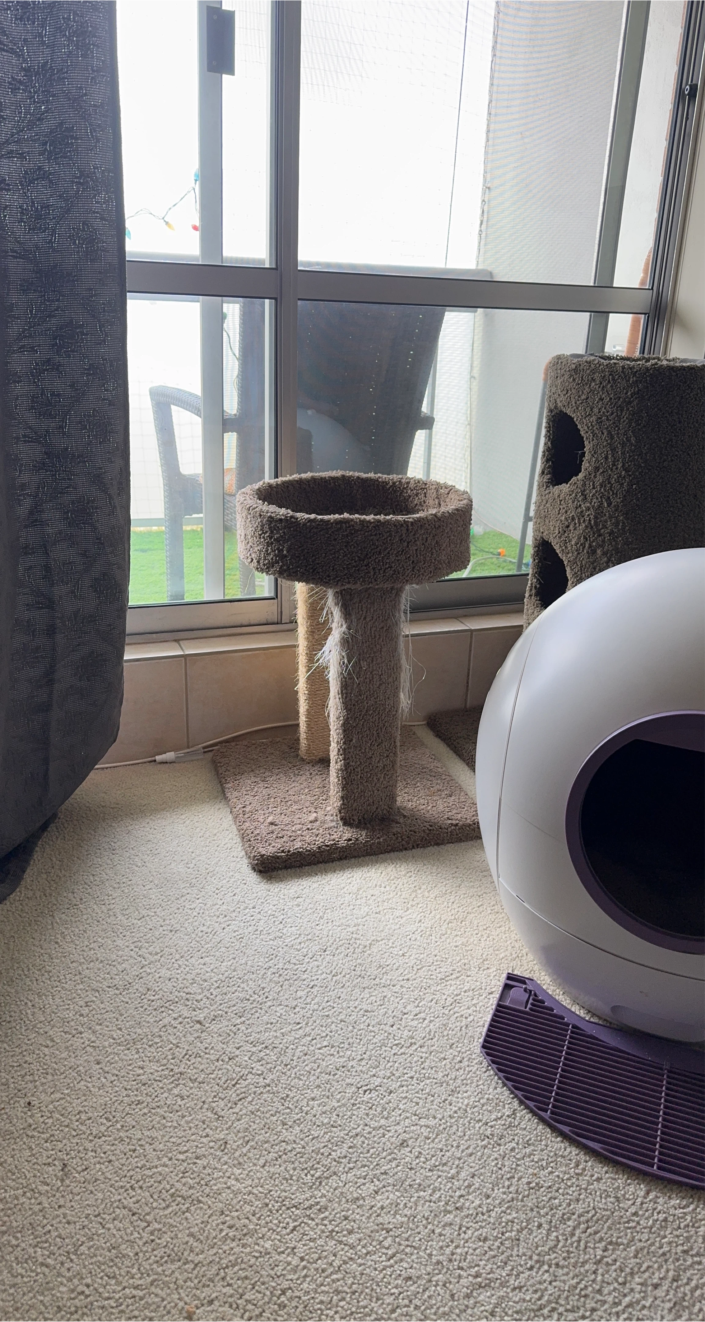 Used Cat Tree with Scratching Post