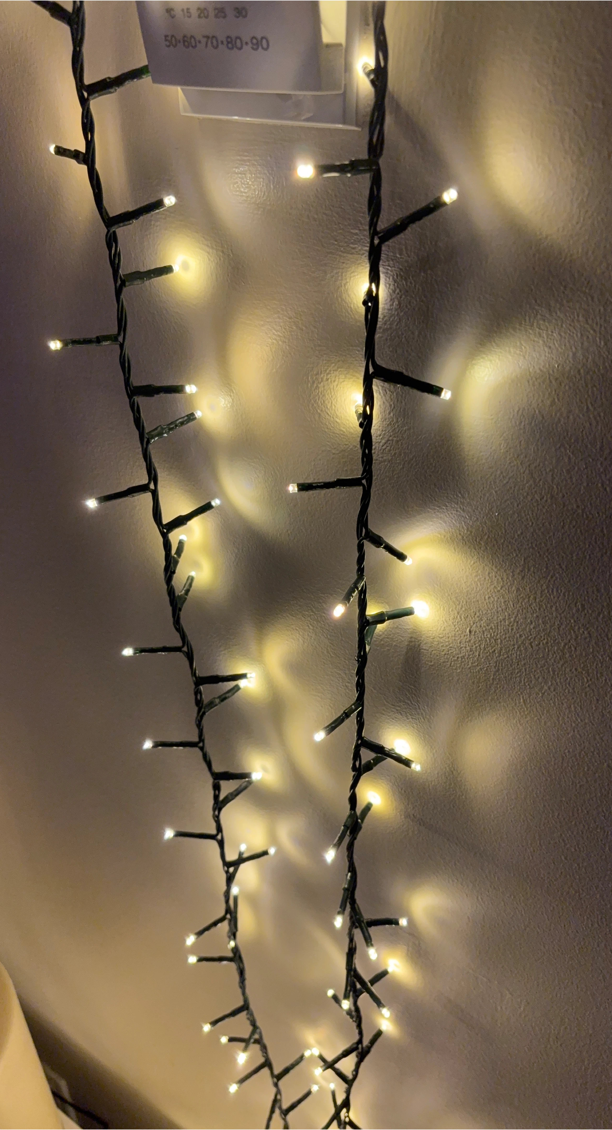 String Lights - Indoor/Outdoor