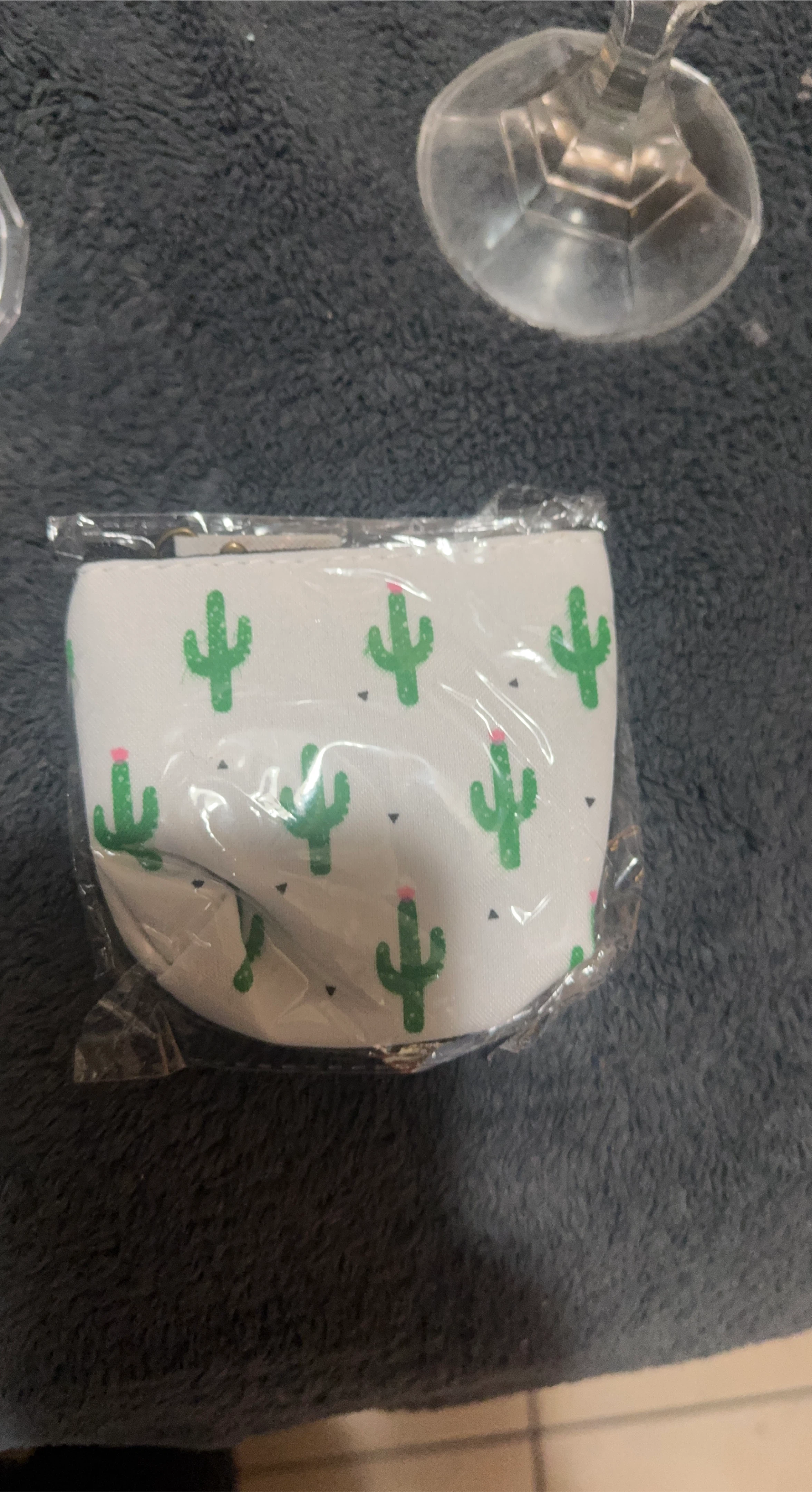 Cactus Coin Purse - New! image indicator(1)