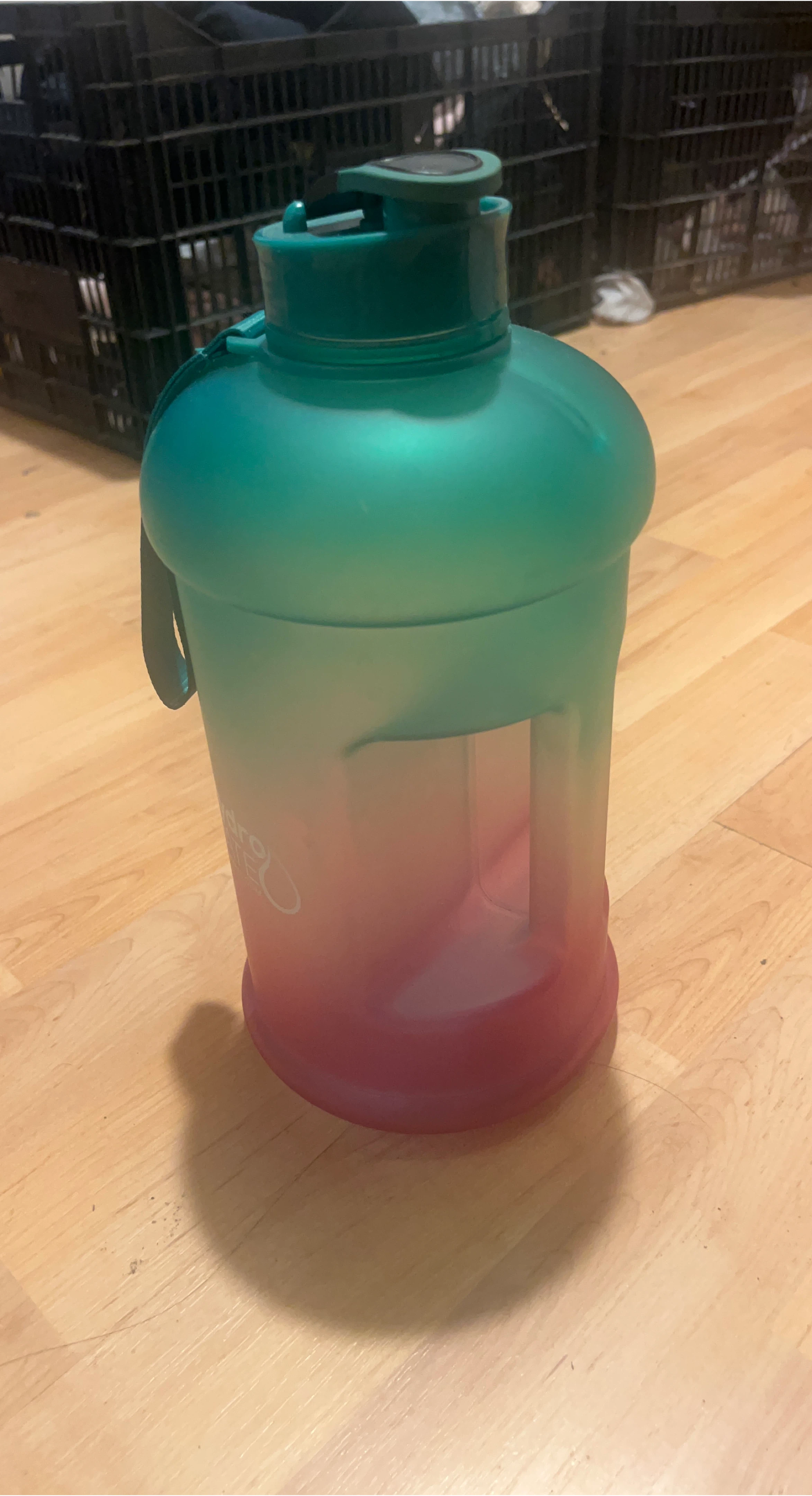 Venture Pal Gallon Water Bottle - Green/Pink